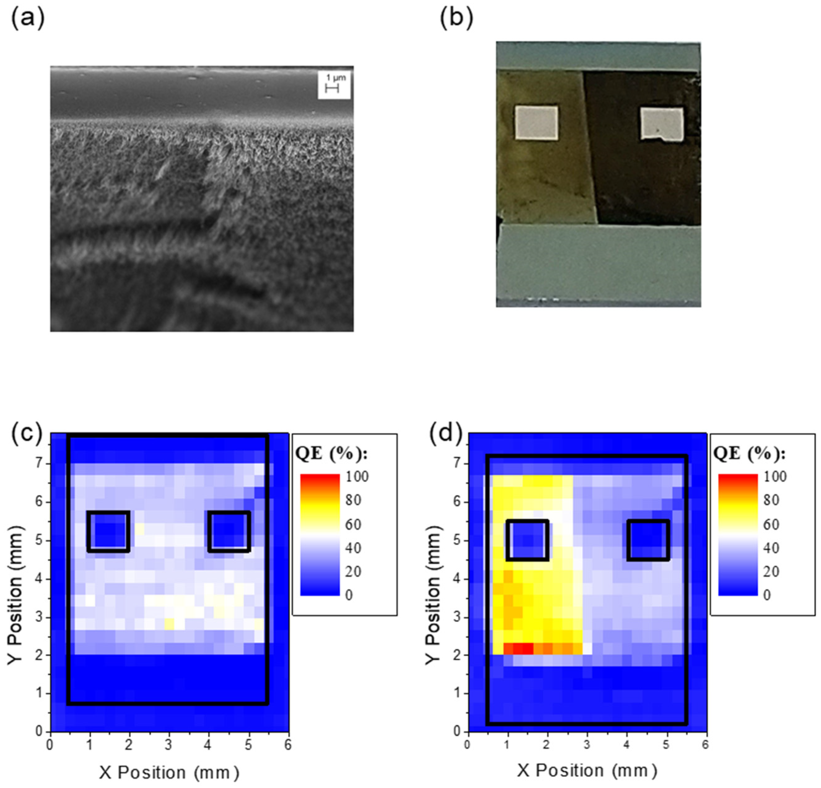 Nanomaterials 13 00650 g004