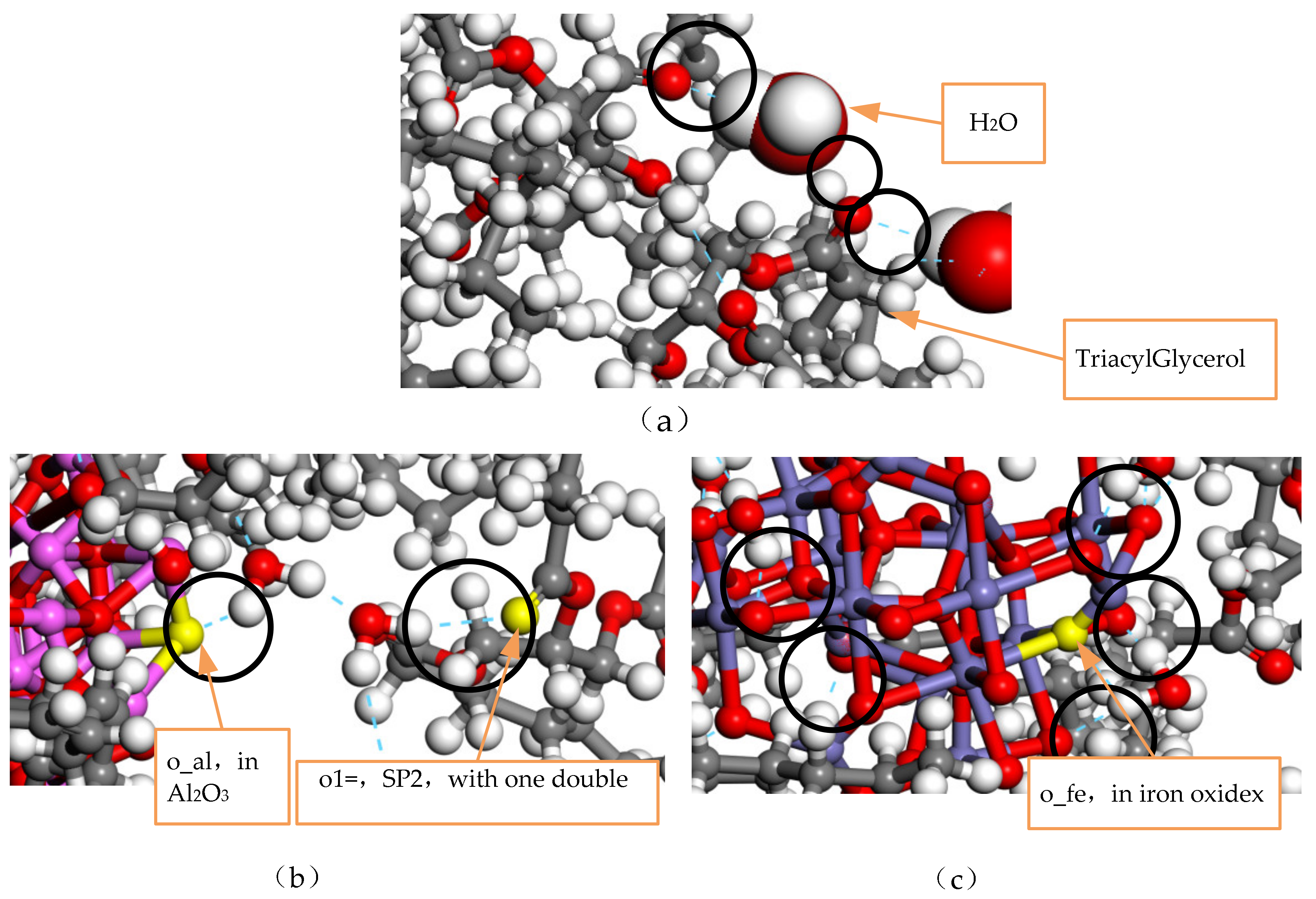Nanomaterials 13 00653 g009