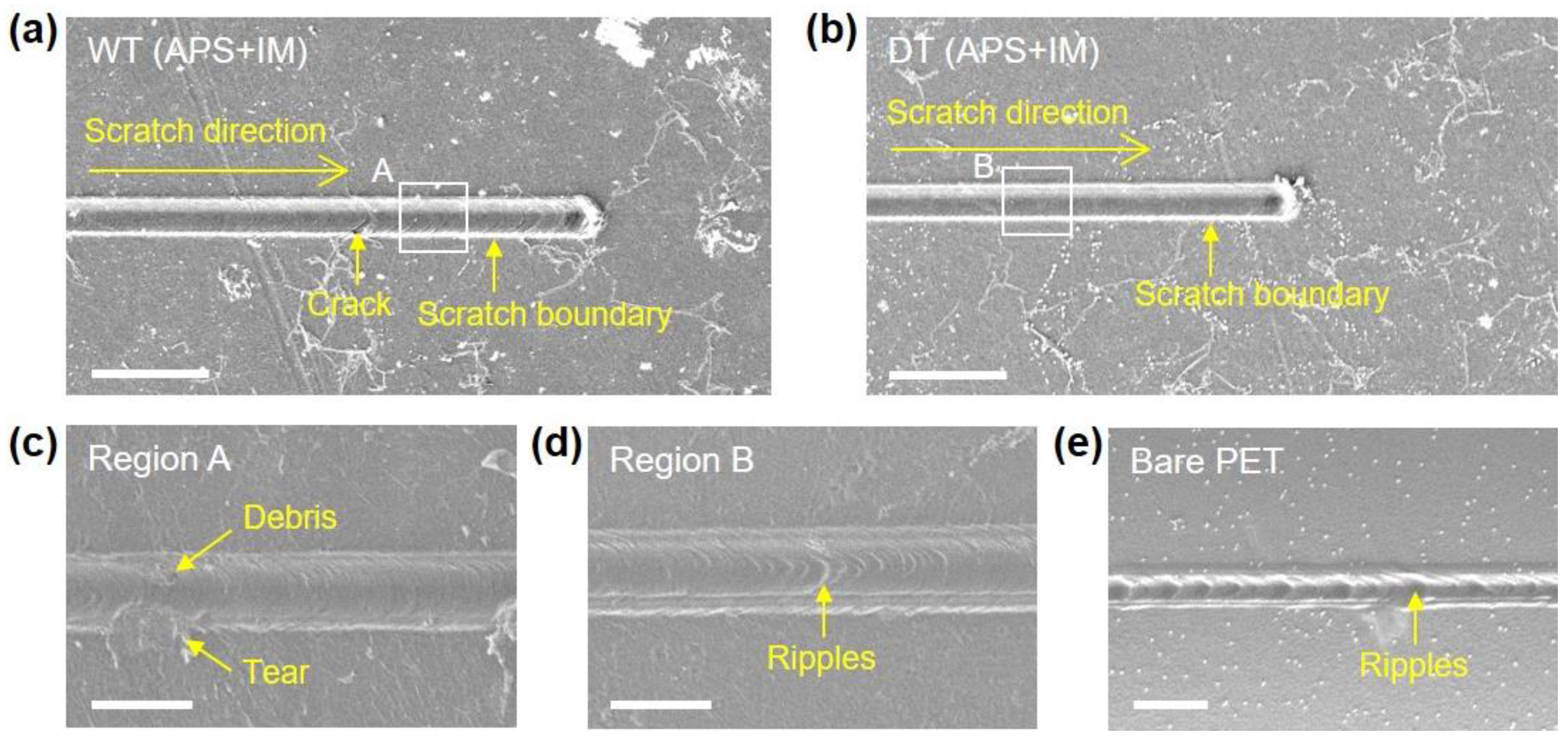 Nanomaterials 13 00655 g005