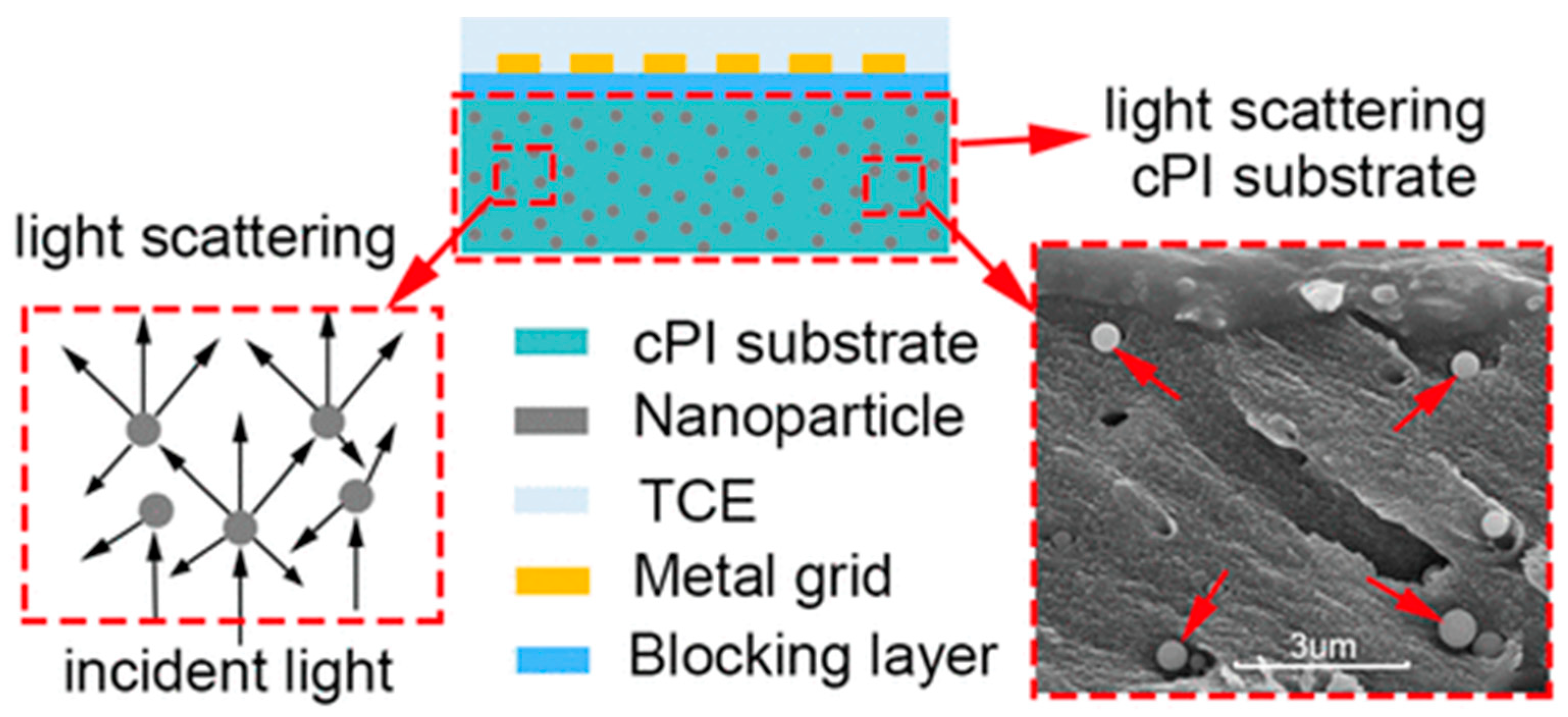Nanomaterials 13 00656 g010 Nanomaterials 13 00656 g010