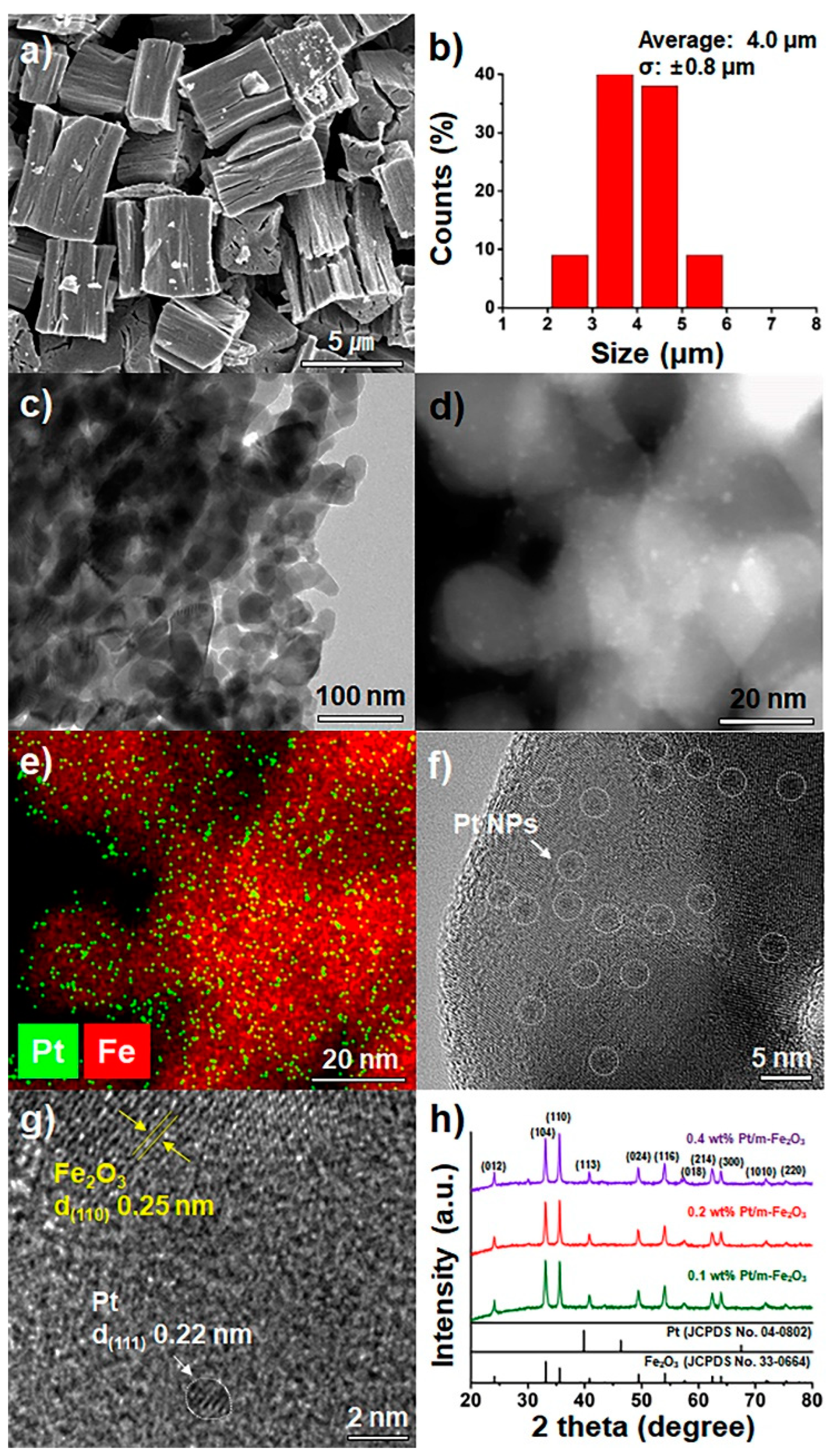Nanomaterials 13 00659 g001