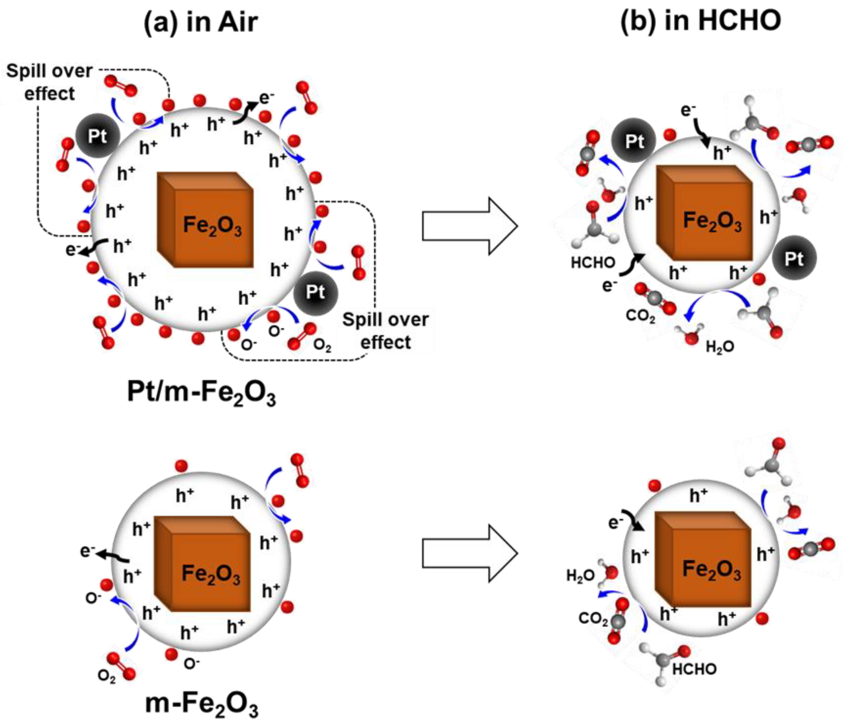 Nanomaterials 13 00659 g006