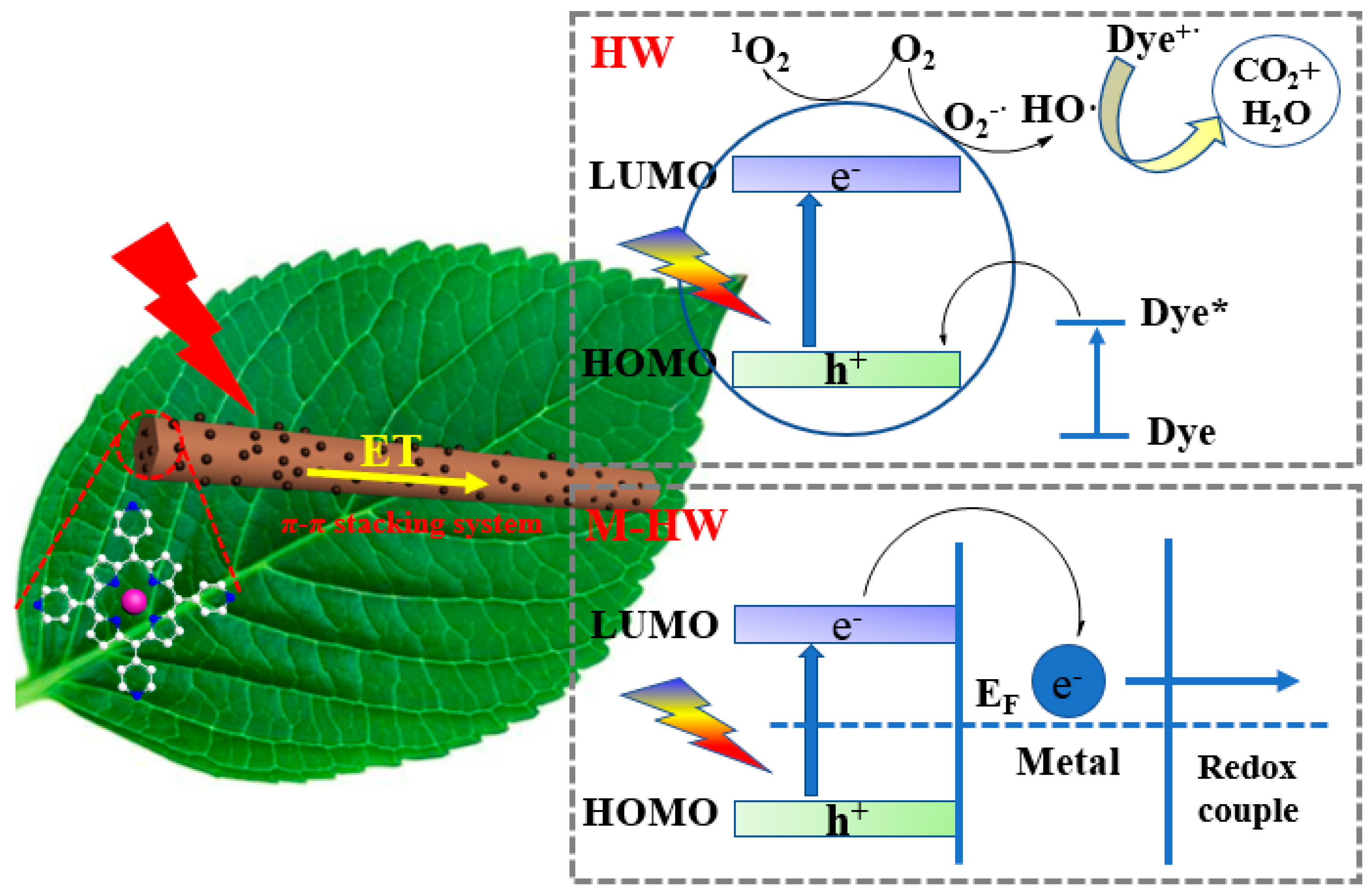 Nanomaterials 13 00660 g008