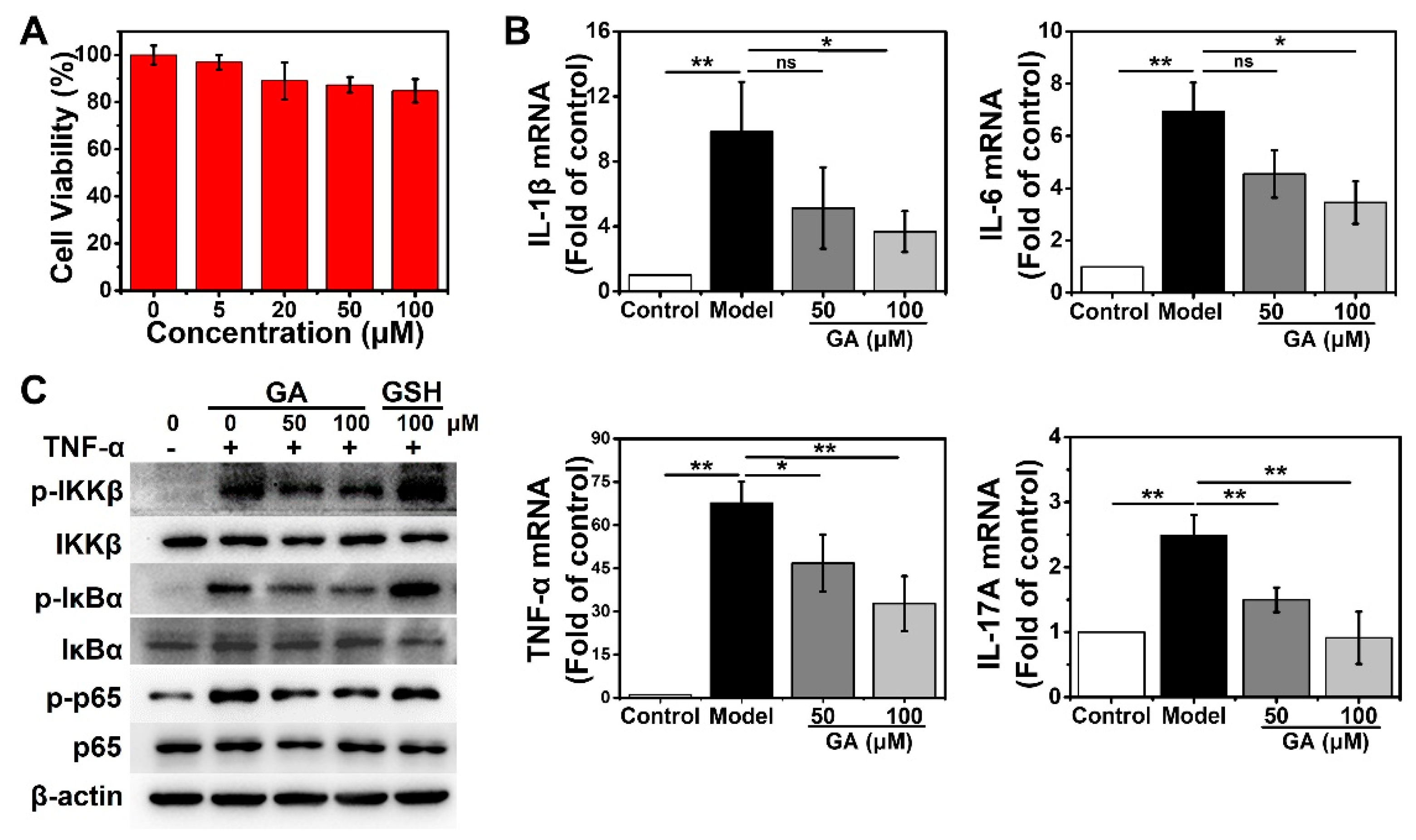 Nanomaterials 13 00662 g002