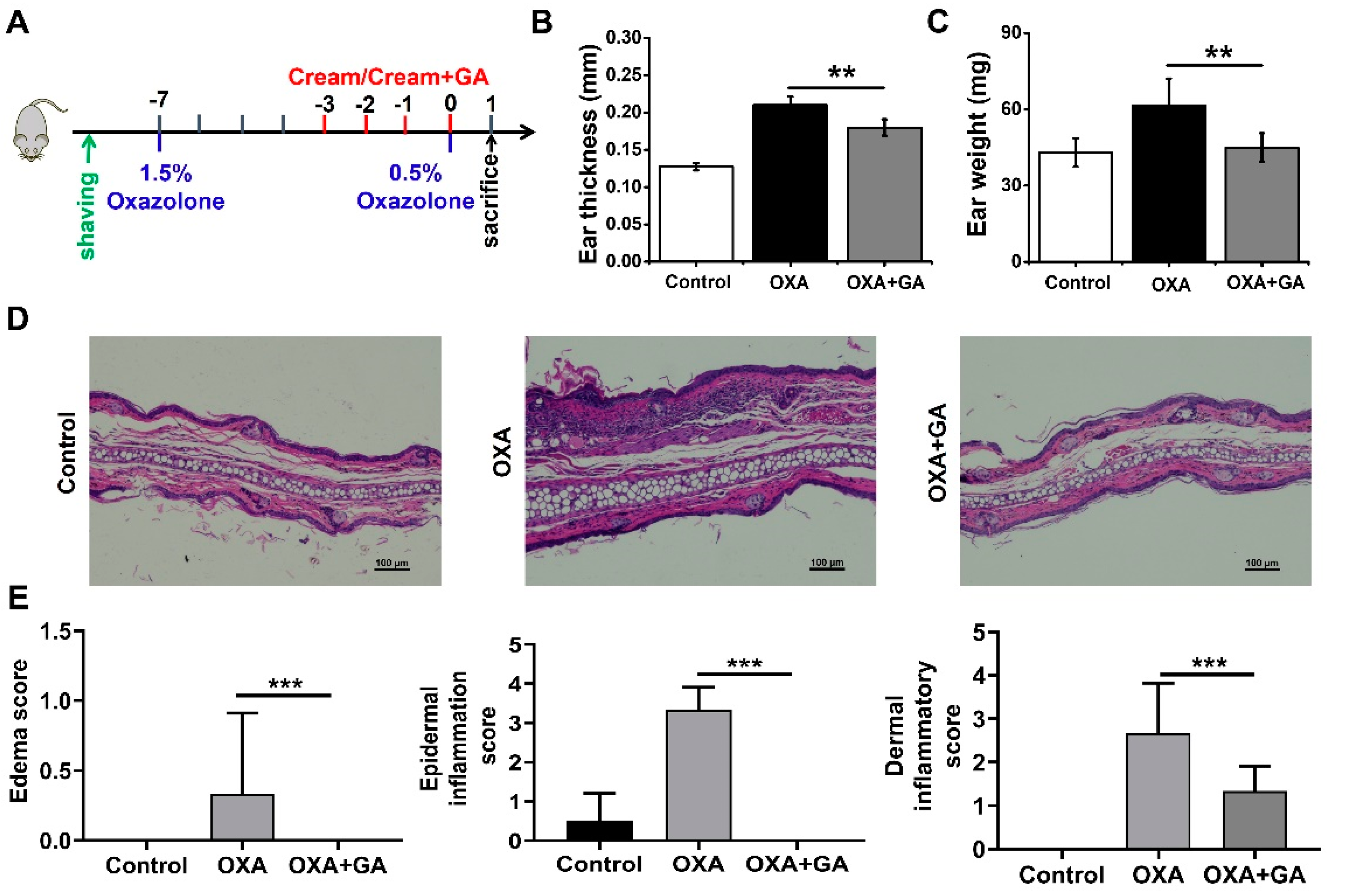Nanomaterials 13 00662 g004