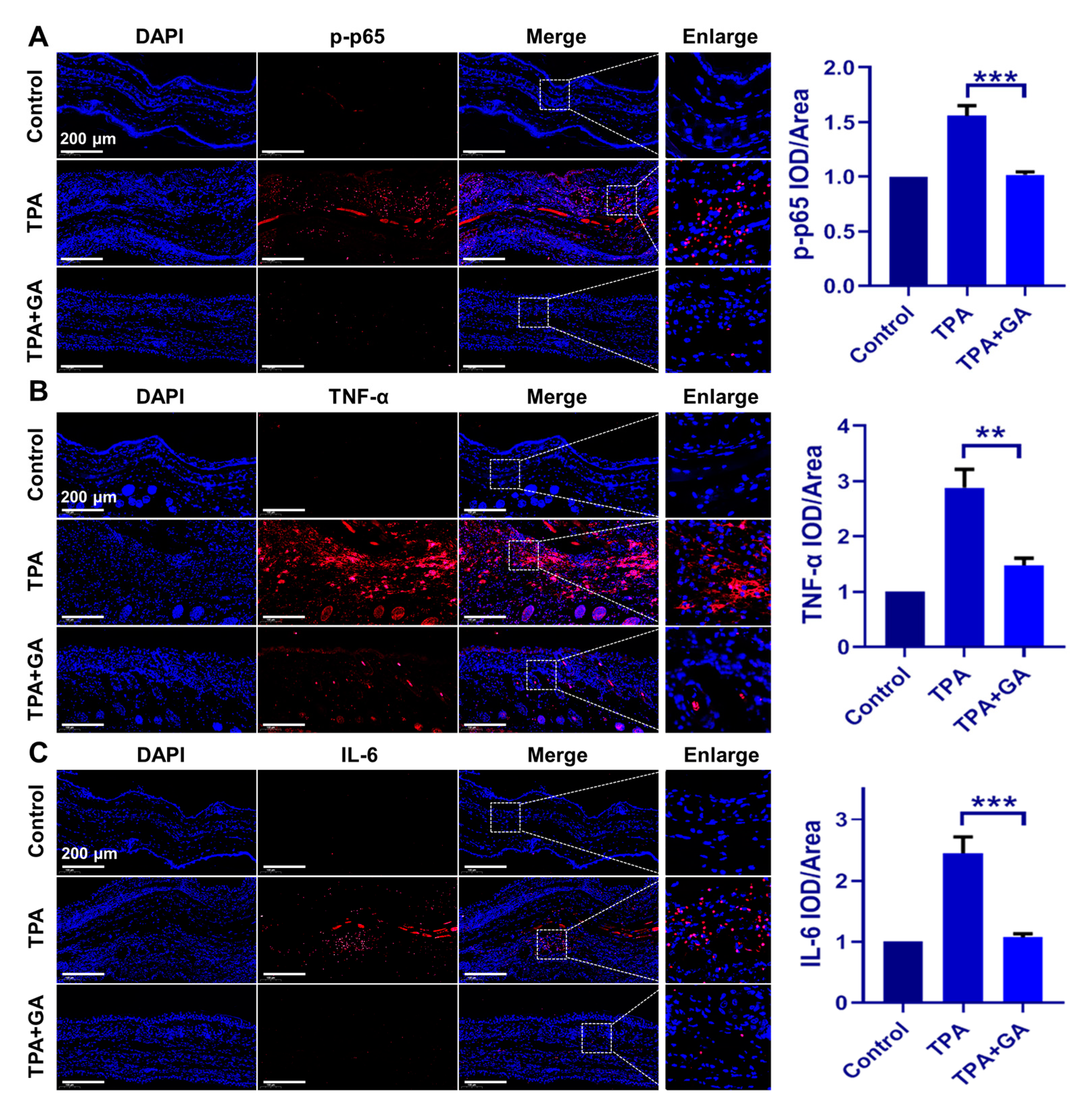 Nanomaterials 13 00662 g005