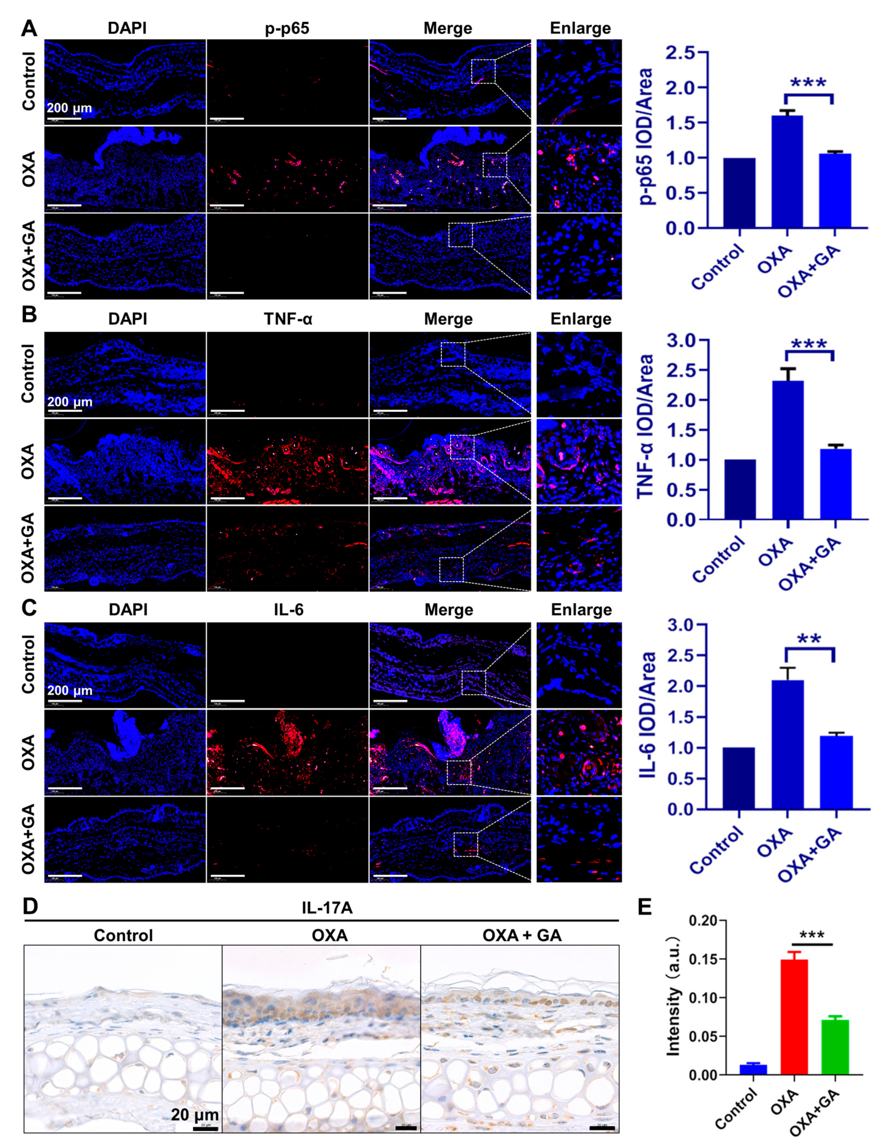 Nanomaterials 13 00662 g006