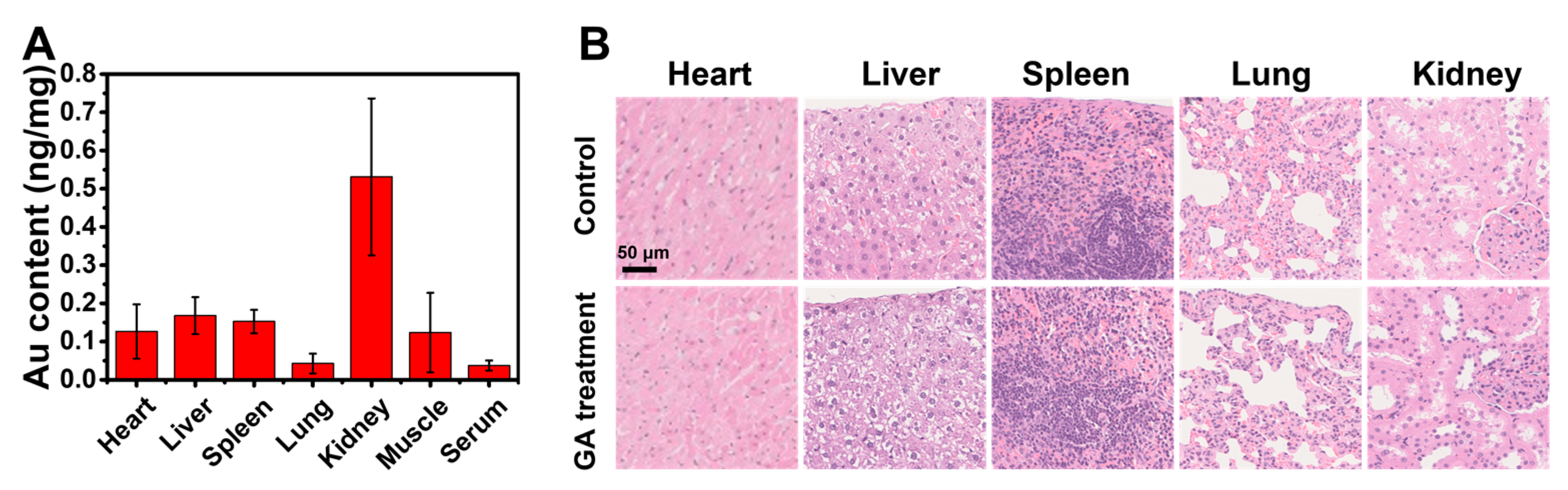 Nanomaterials 13 00662 g007