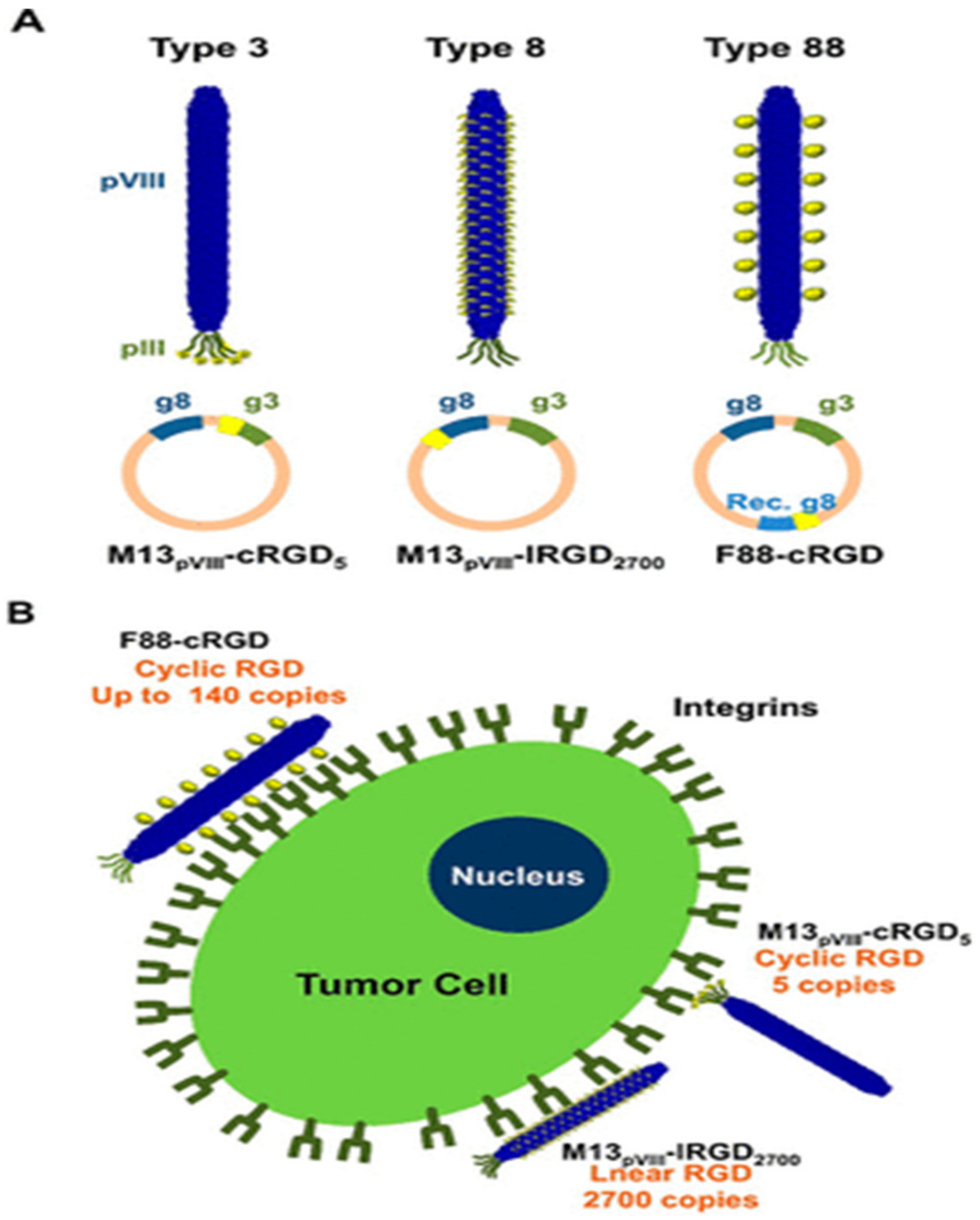 Nanomaterials 13 00665 g005