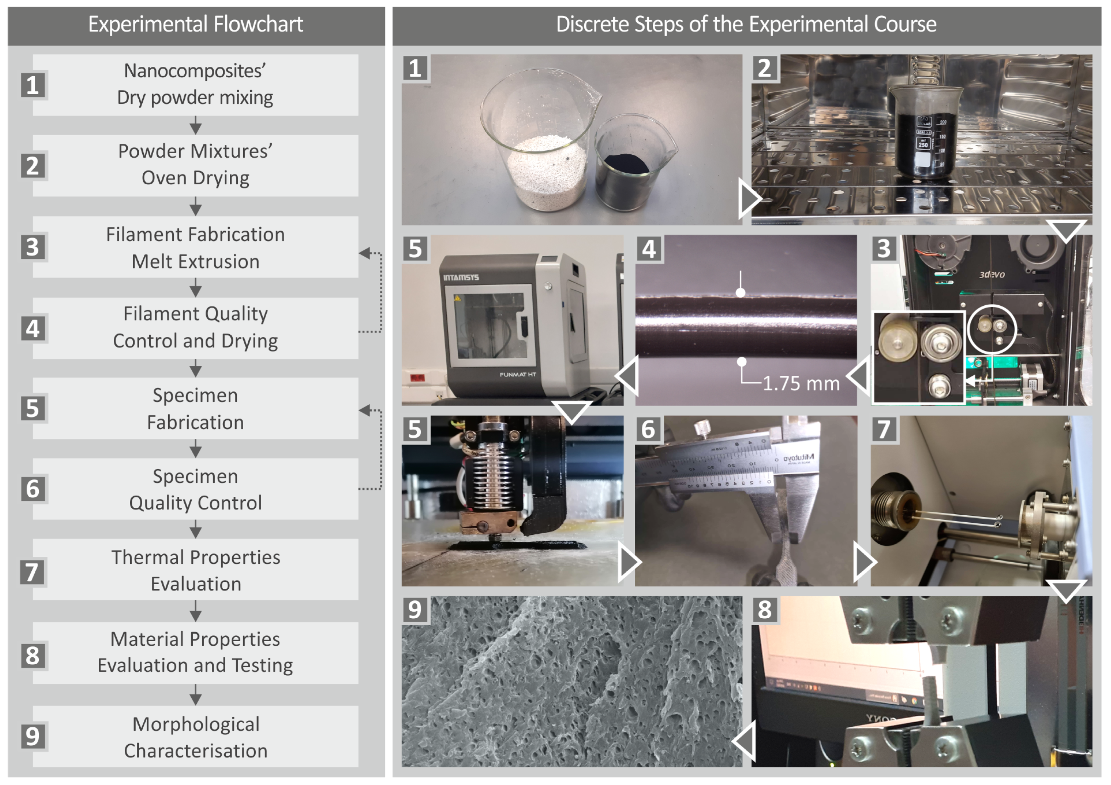 Nanomaterials 13 00669 g001