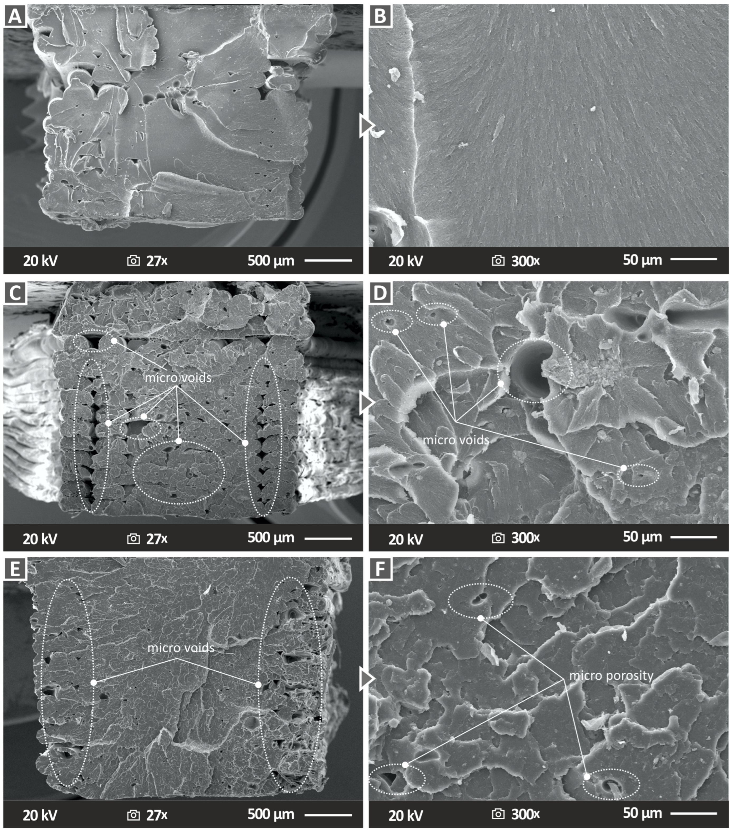 Nanomaterials 13 00669 g013