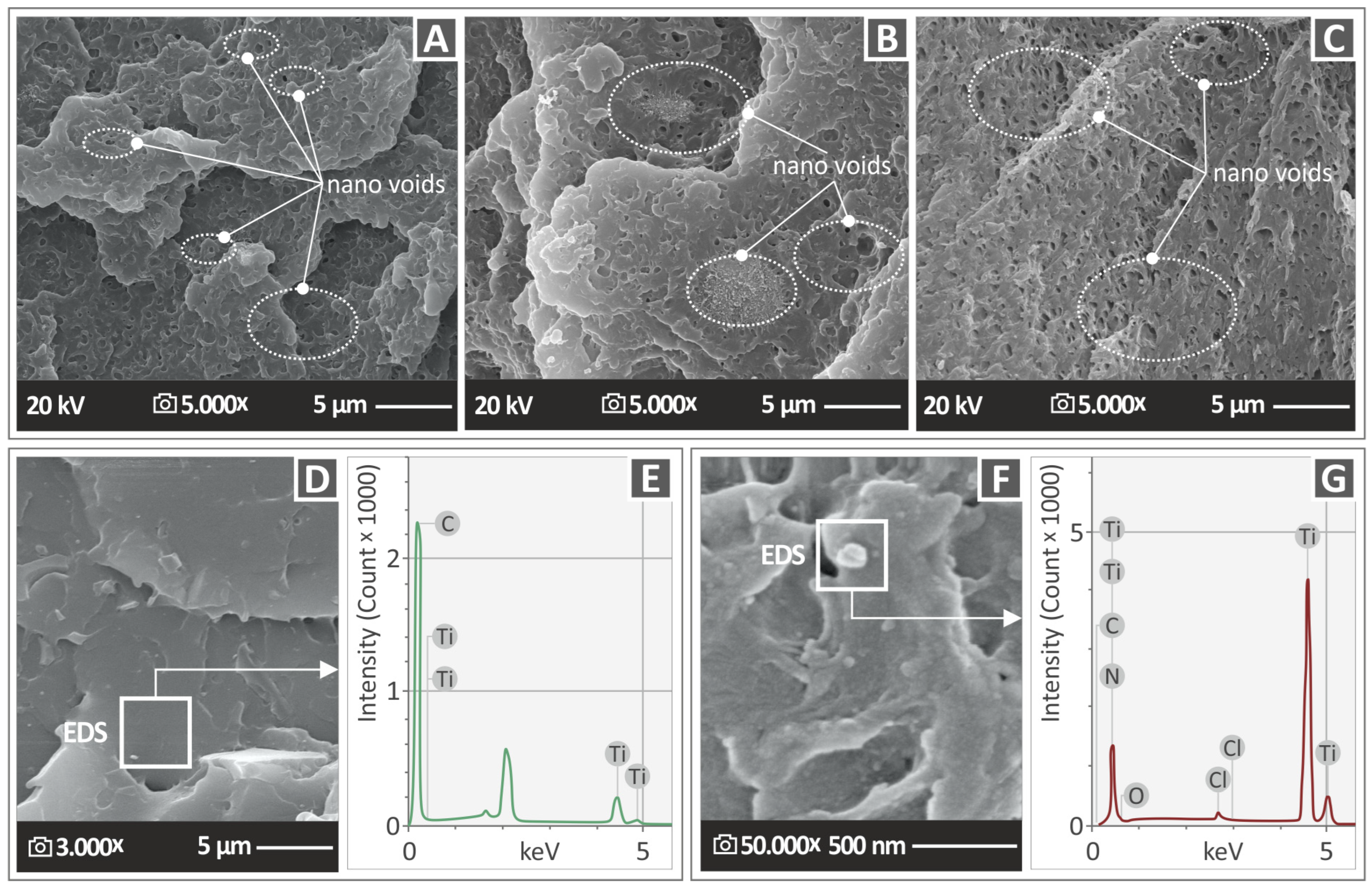 Nanomaterials 13 00669 g014