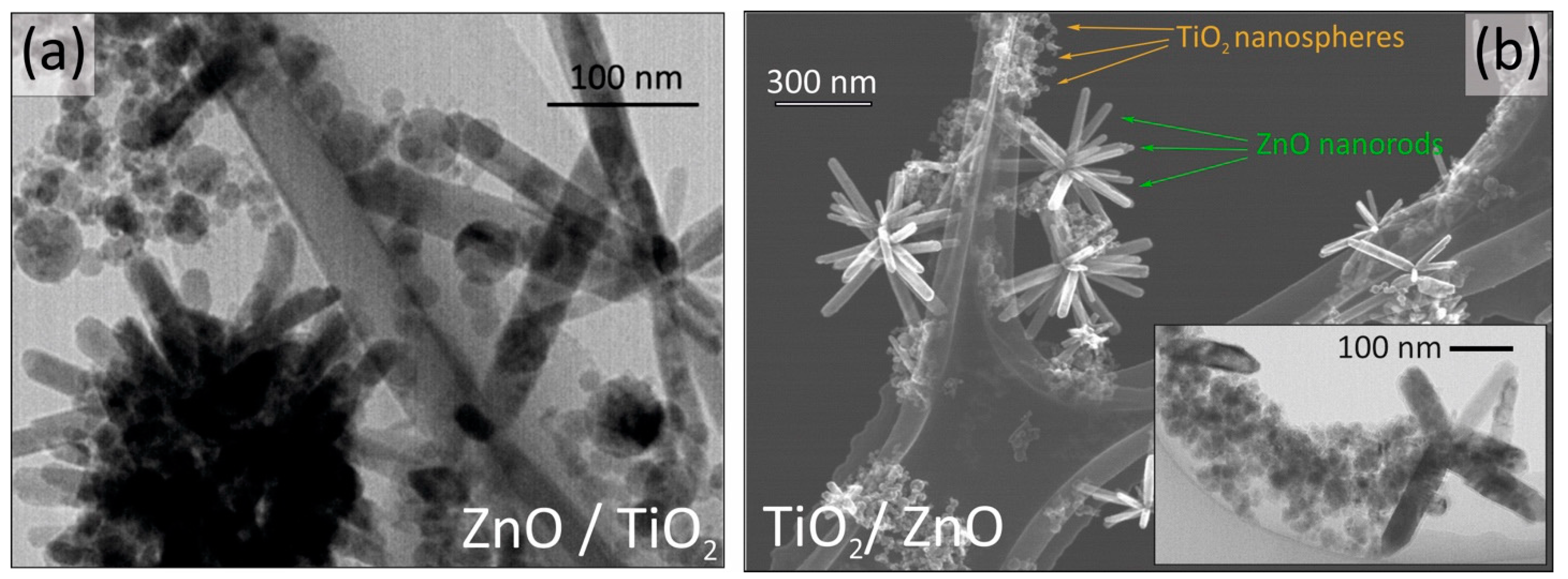 Nanomaterials 13 00670 g003