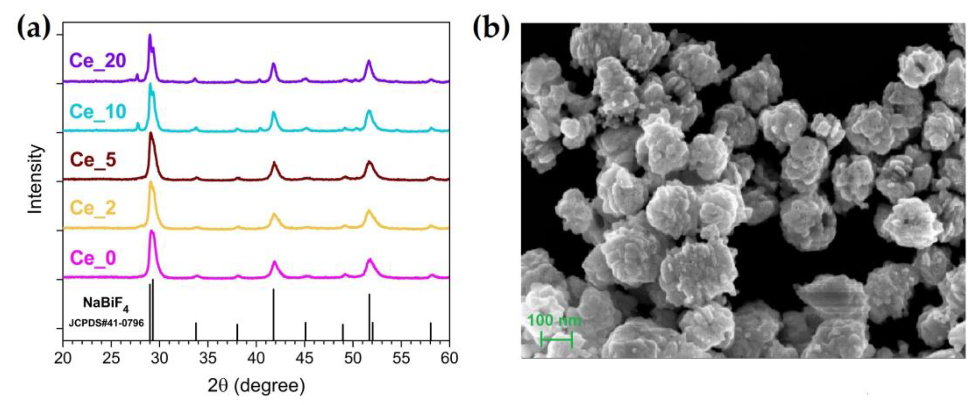 Nanomaterials 13 00672 g001