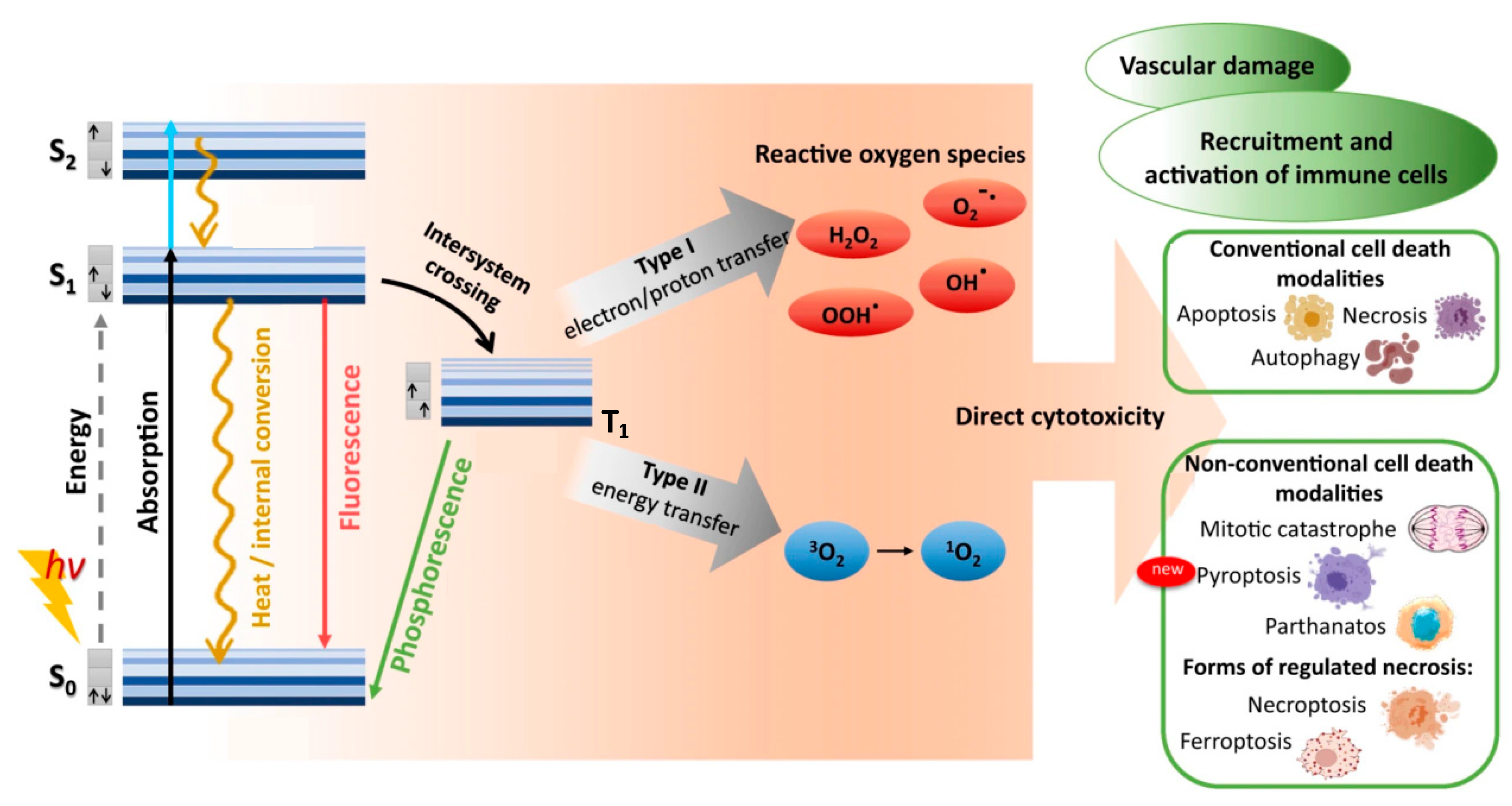 Nanomaterials 13 00673 g001