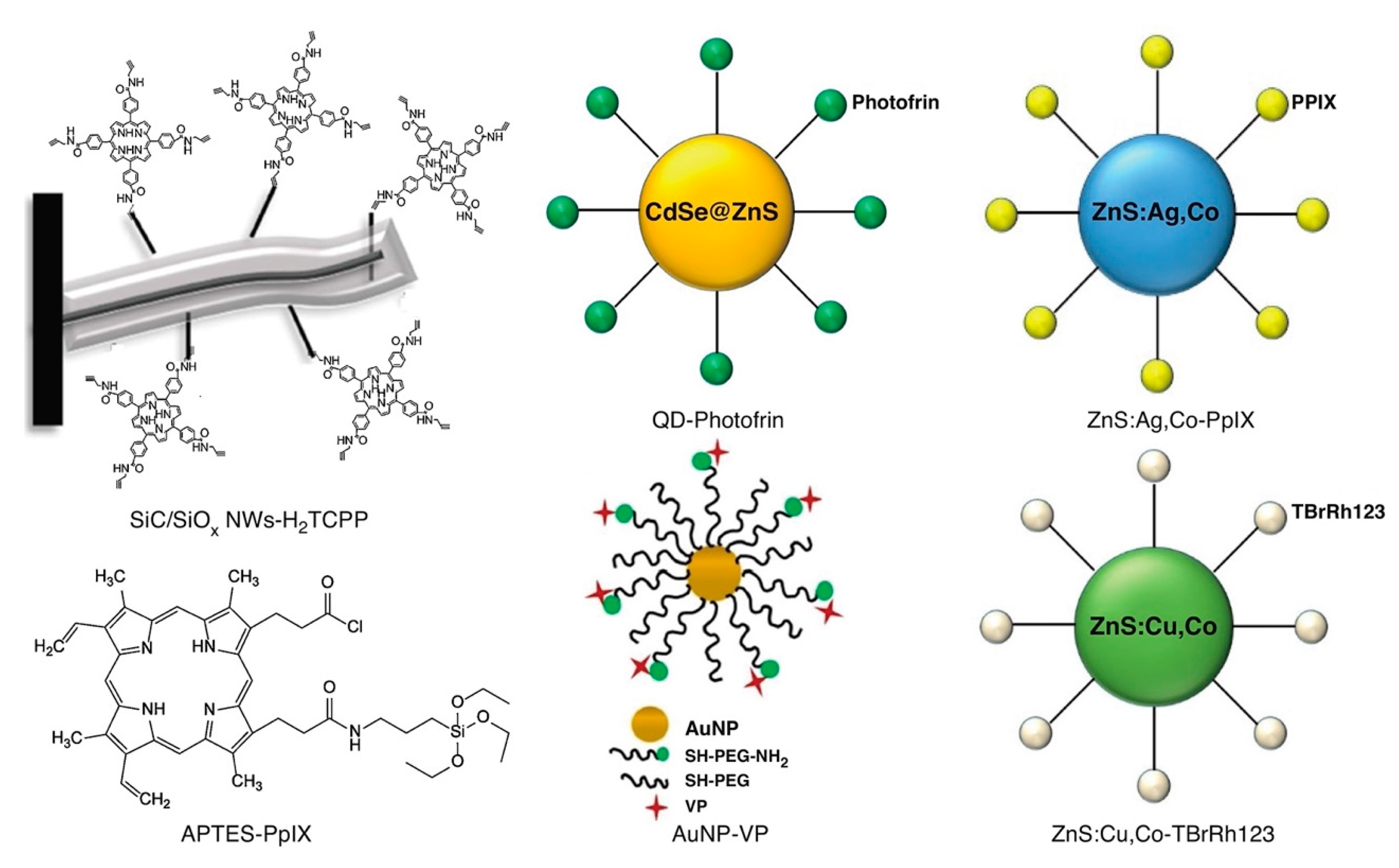 Nanomaterials 13 00673 g007