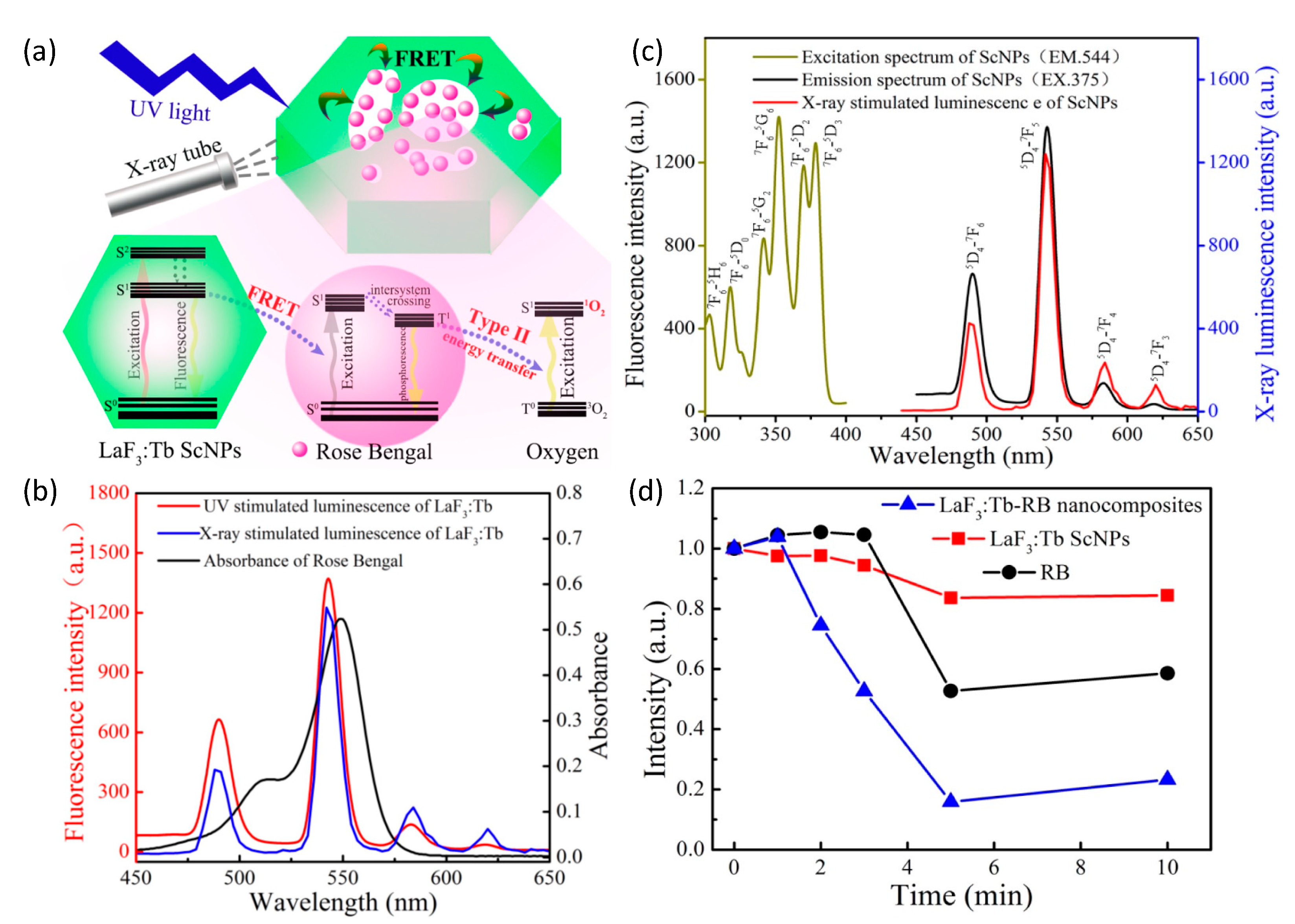 Nanomaterials 13 00673 g008