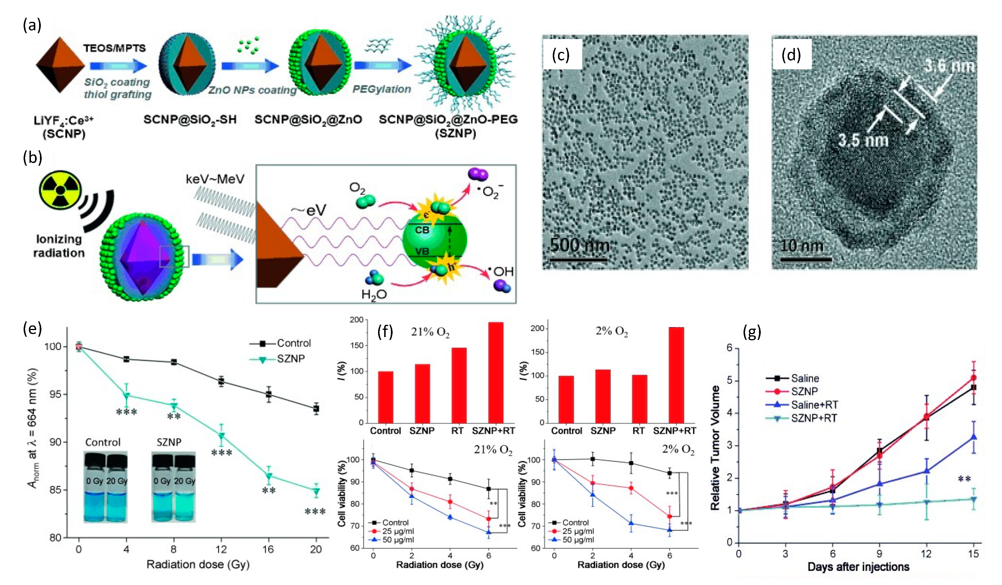 Nanomaterials 13 00673 g010