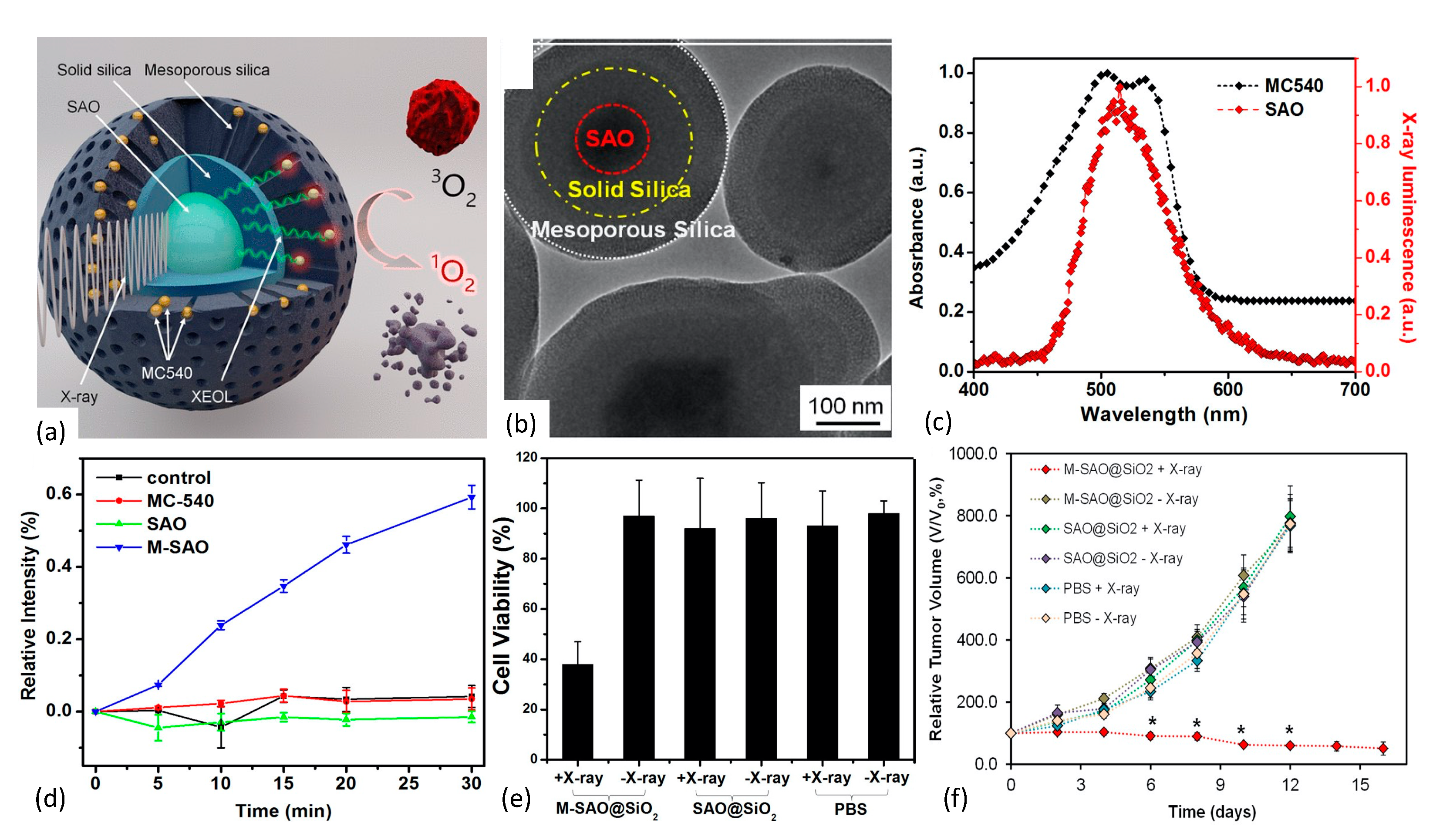 Nanomaterials 13 00673 g011