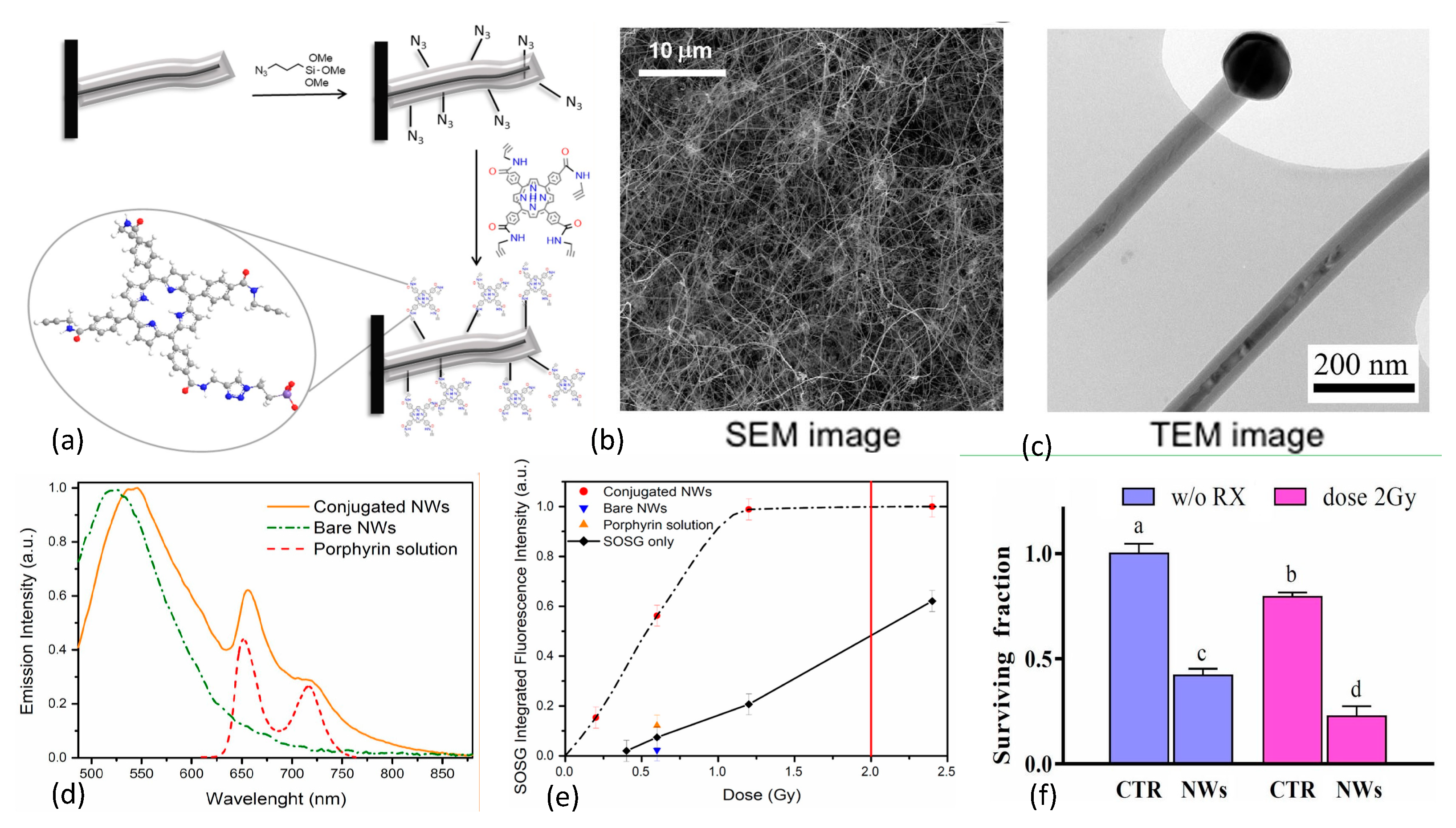 Nanomaterials 13 00673 g012