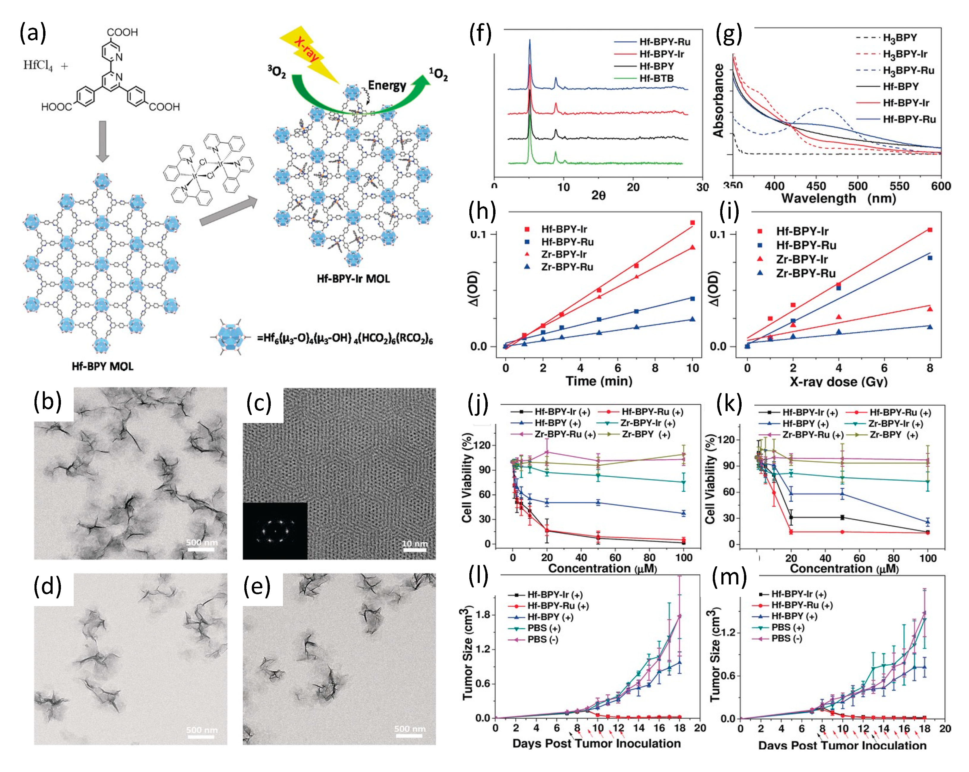 Nanomaterials 13 00673 g013