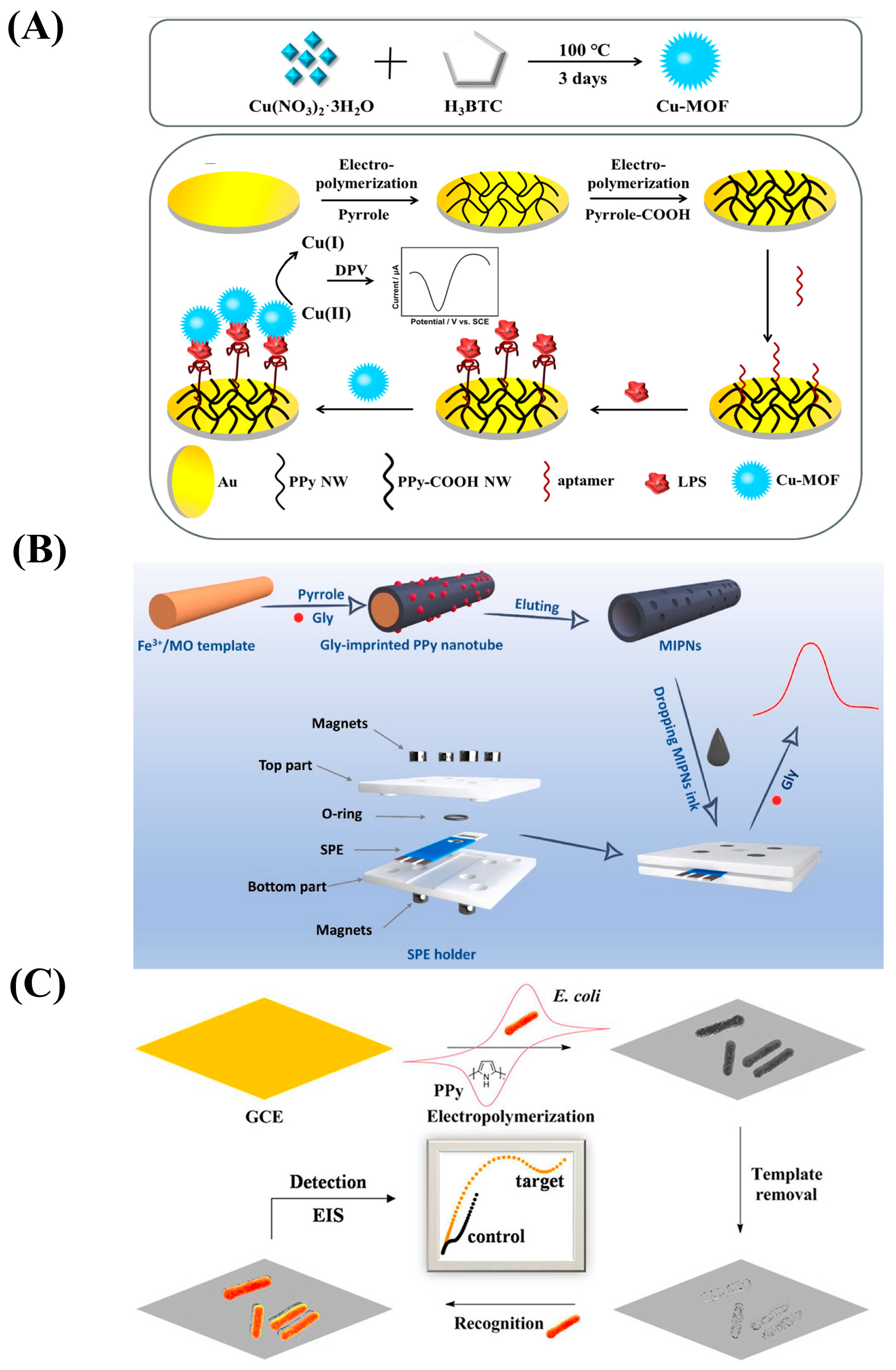Nanomaterials 13 00674 g005