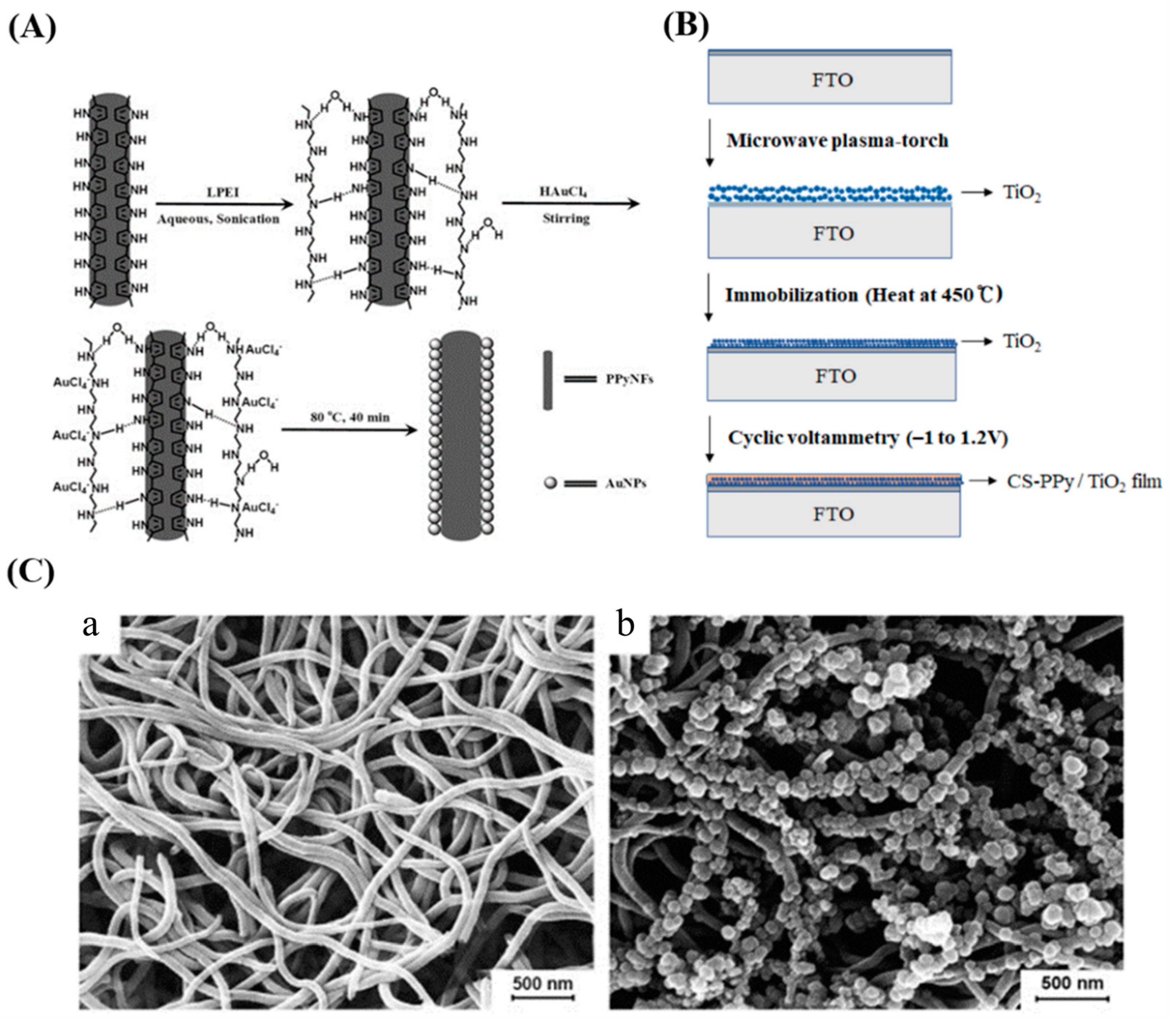 Nanomaterials 13 00674 g006