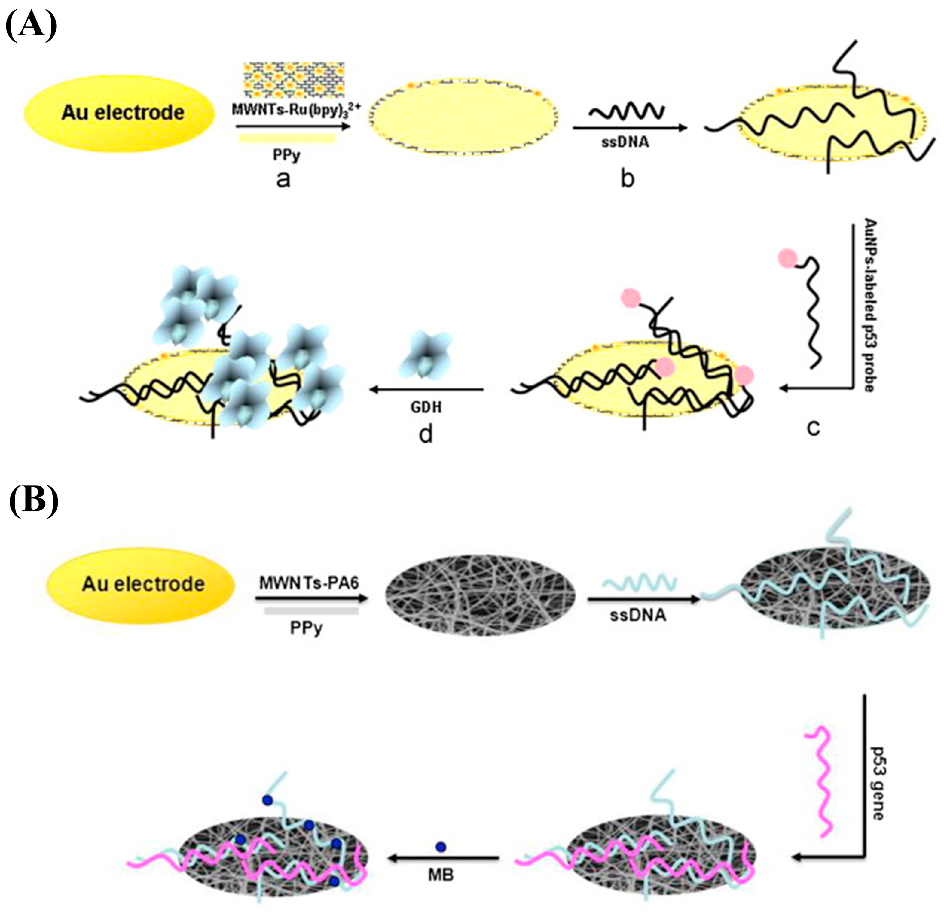 Nanomaterials 13 00674 g007