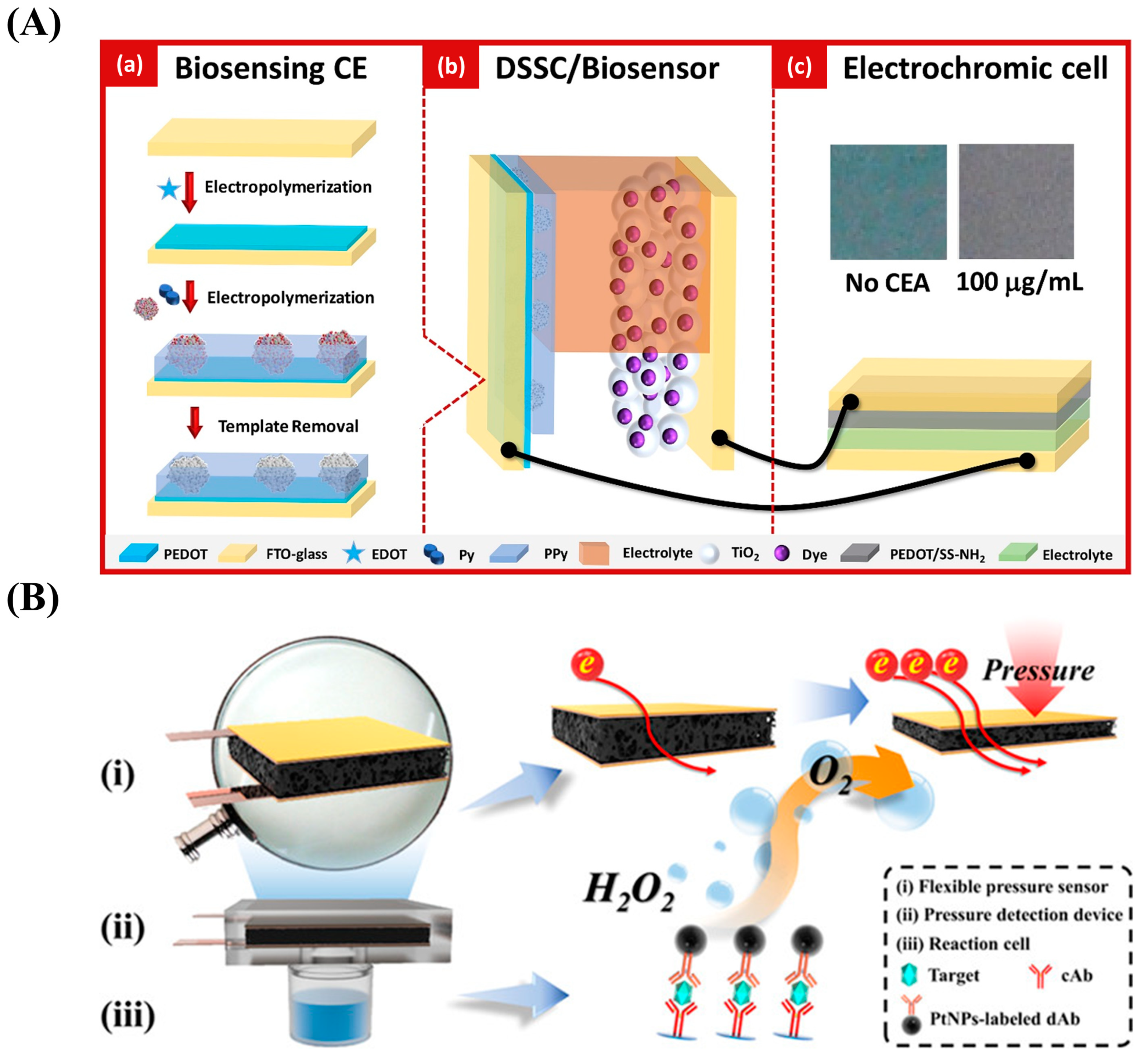 Nanomaterials 13 00674 g010