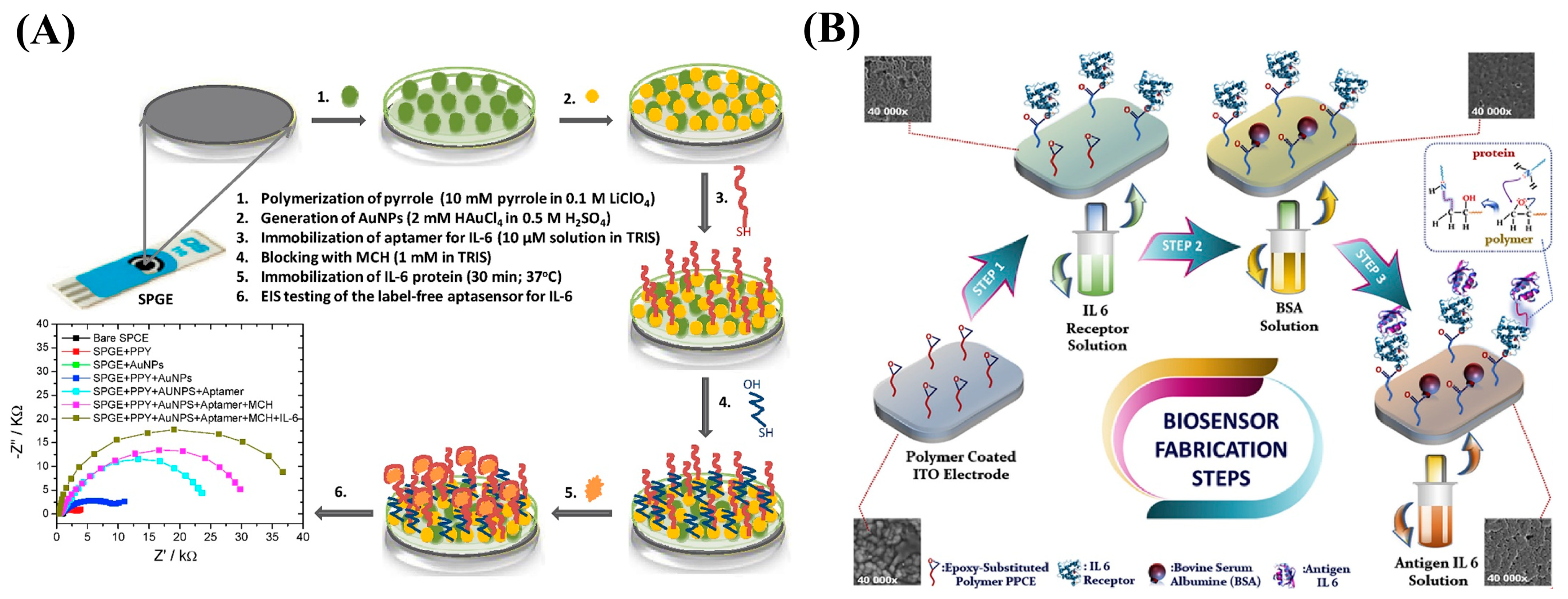 Nanomaterials 13 00674 g013