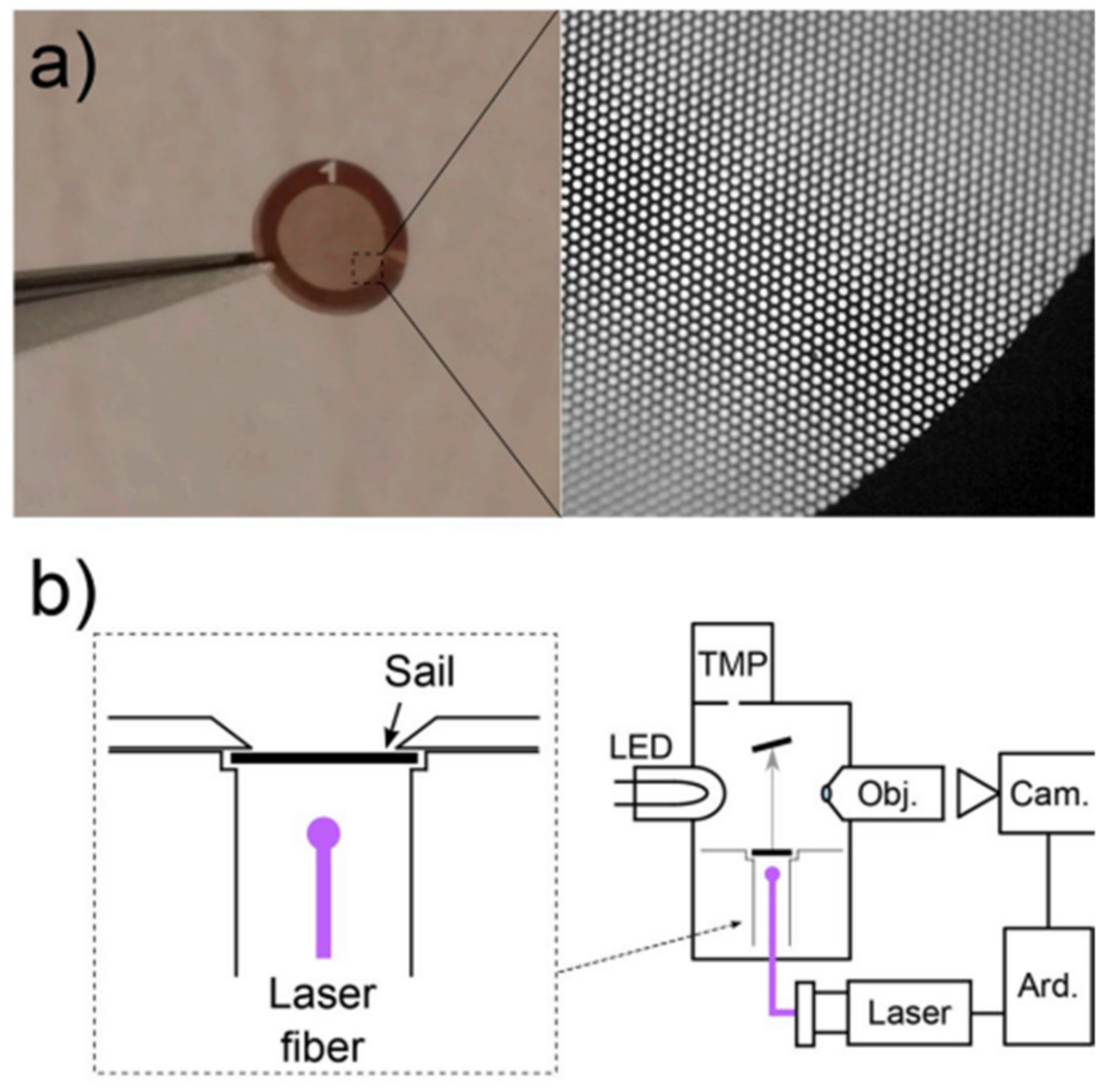 Nanomaterials 13 00680 g005