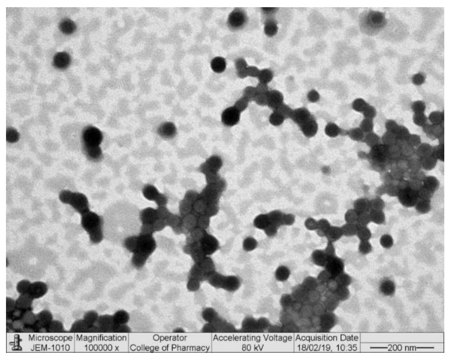 Nanomaterials 13 00681 g002