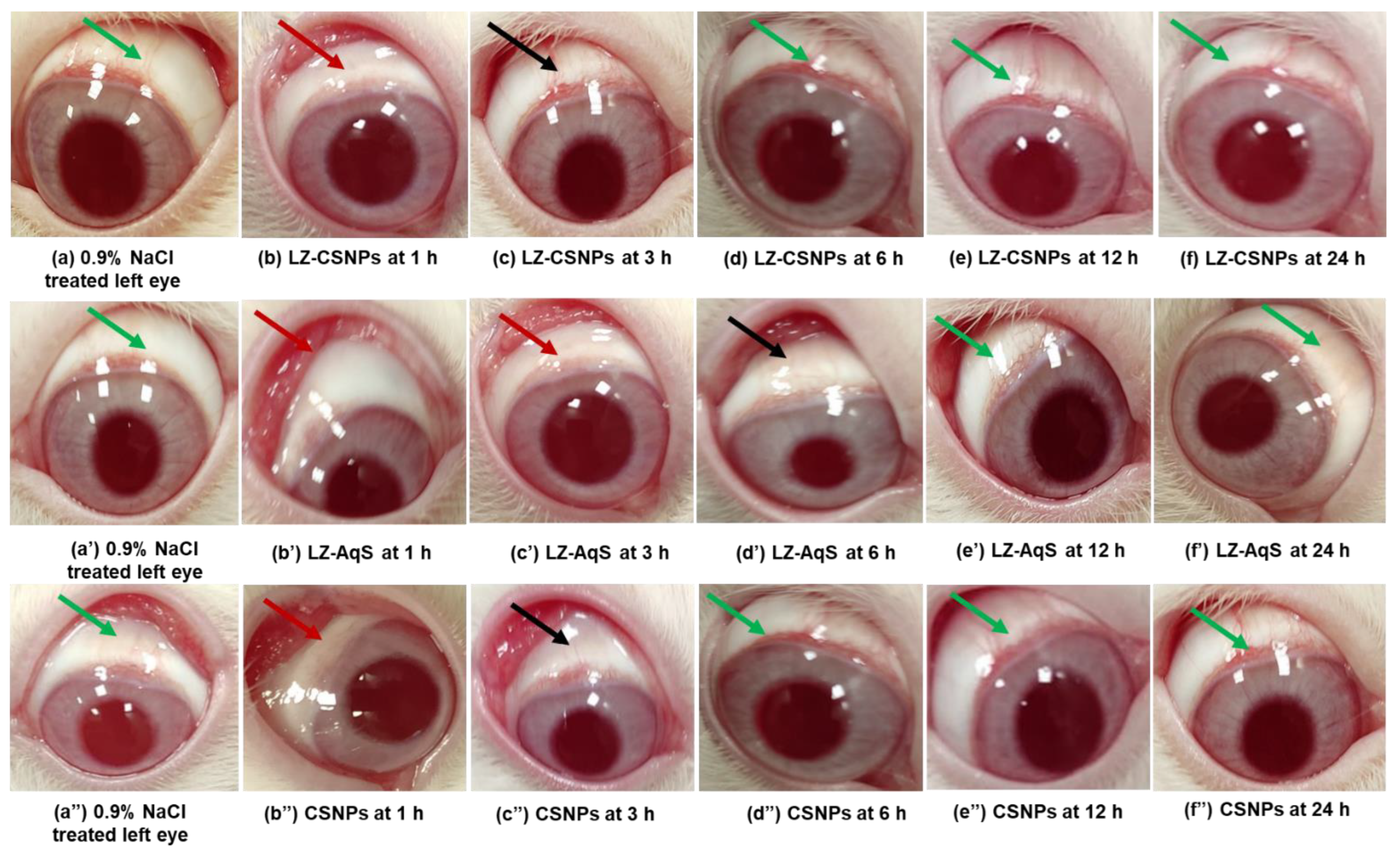 Nanomaterials 13 00681 g005
