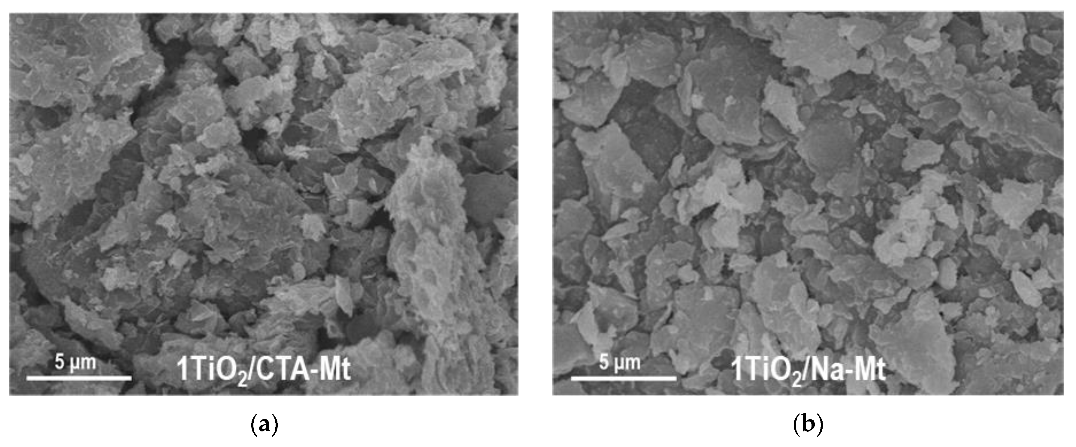 Nanomaterials 13 00686 g004a Nanomaterials 13 00686 g004a