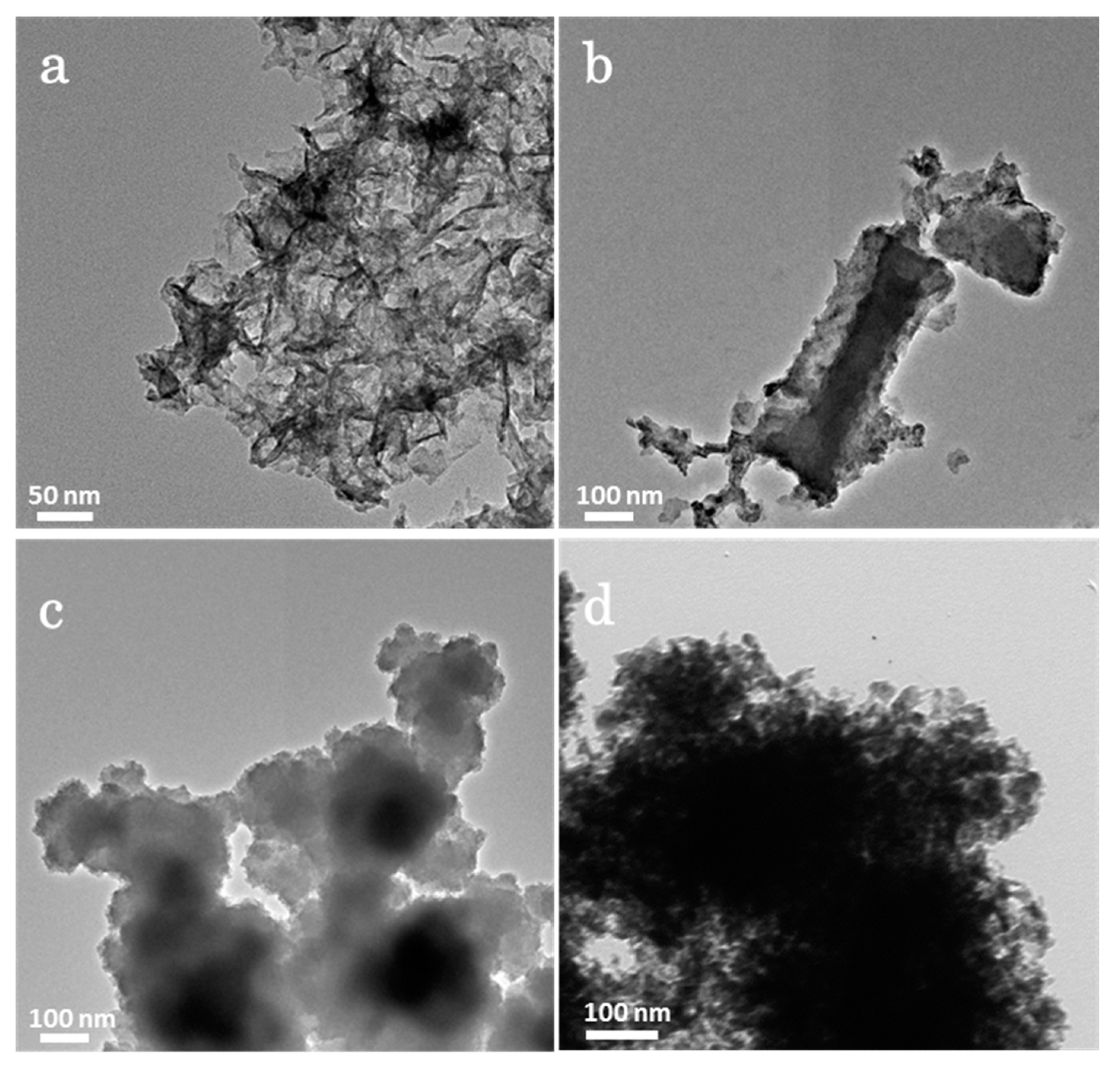 Nanomaterials 13 00689 g004