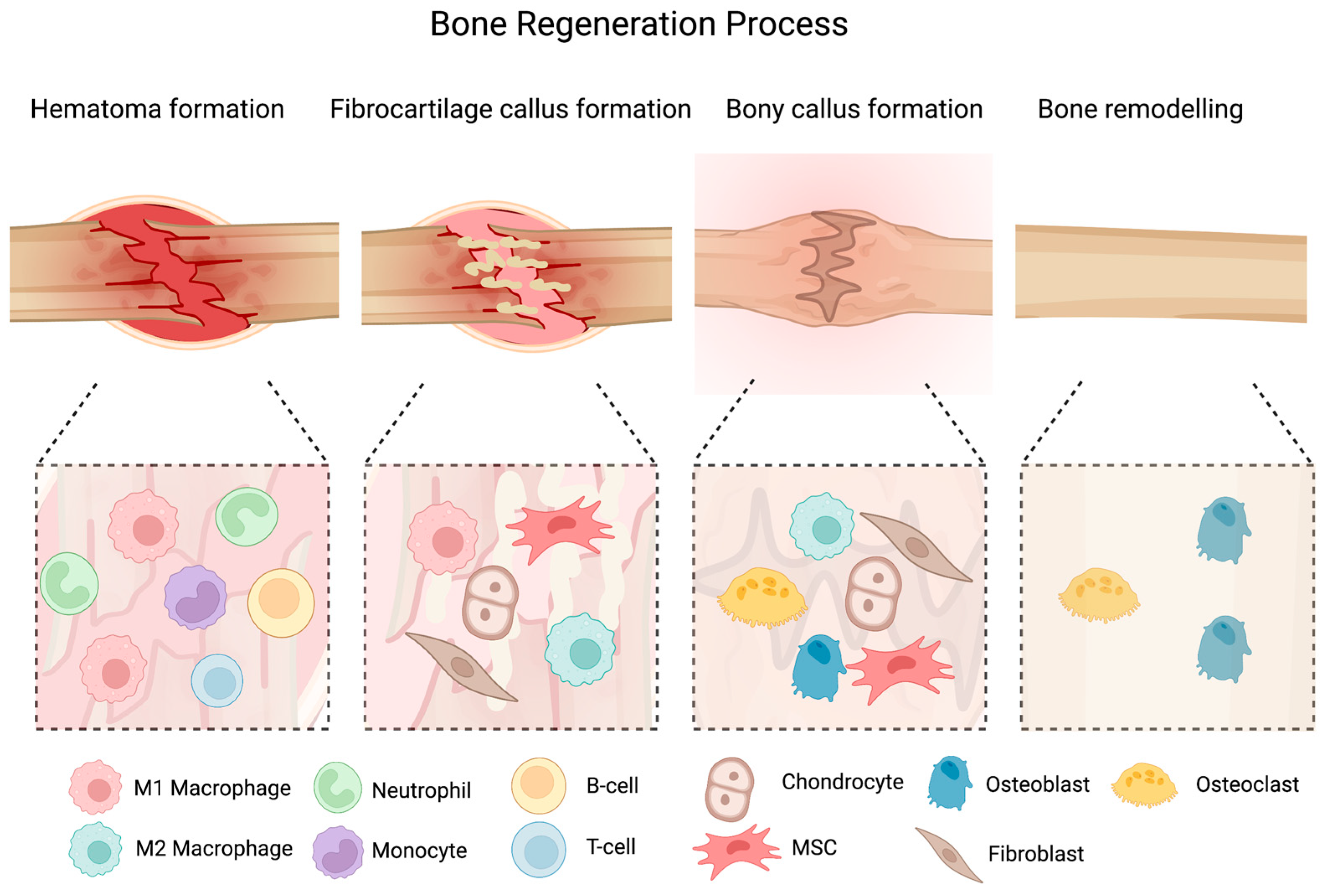 Nanomaterials 13 00692 g001