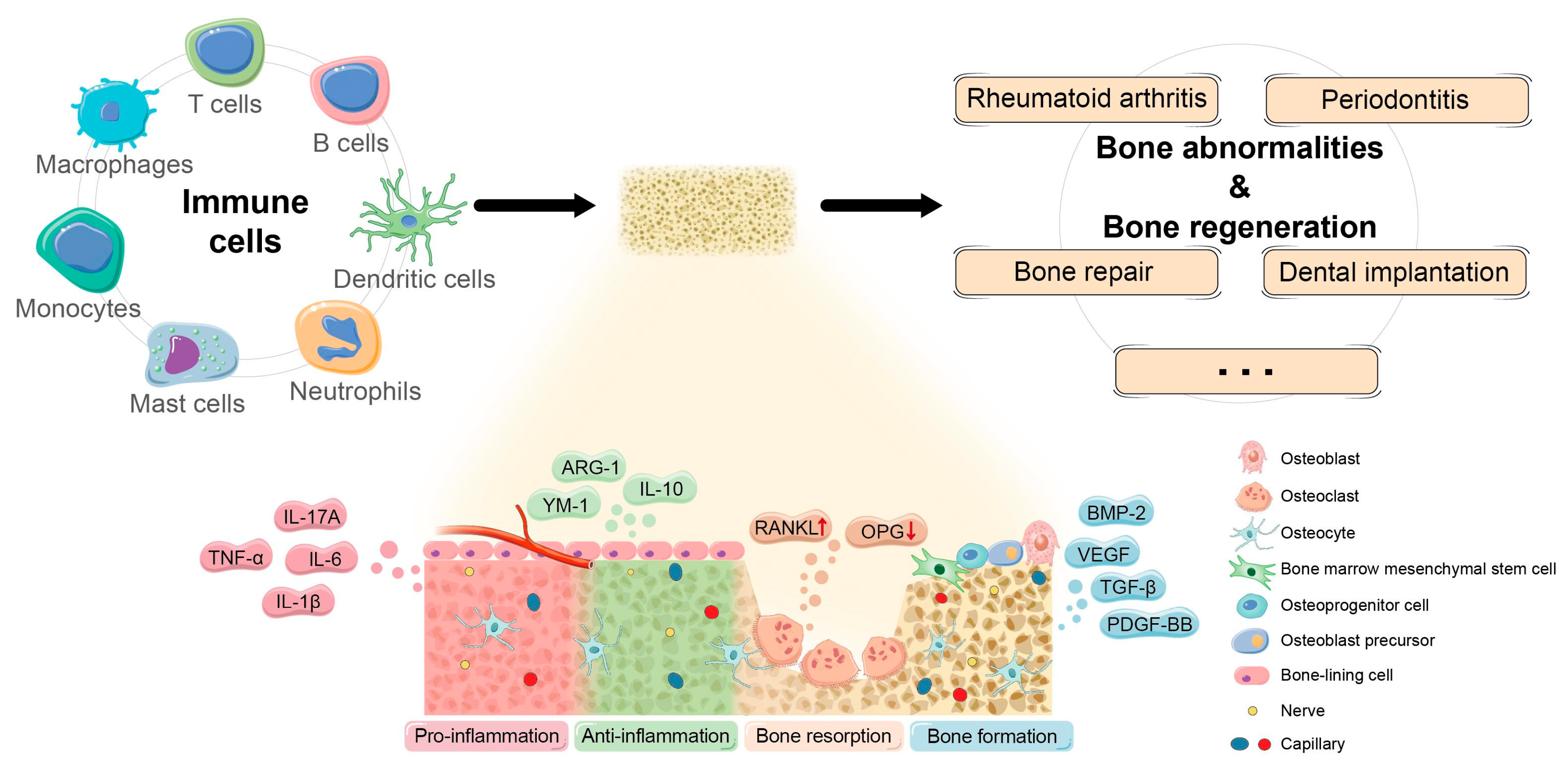 Nanomaterials 13 00692 g002
