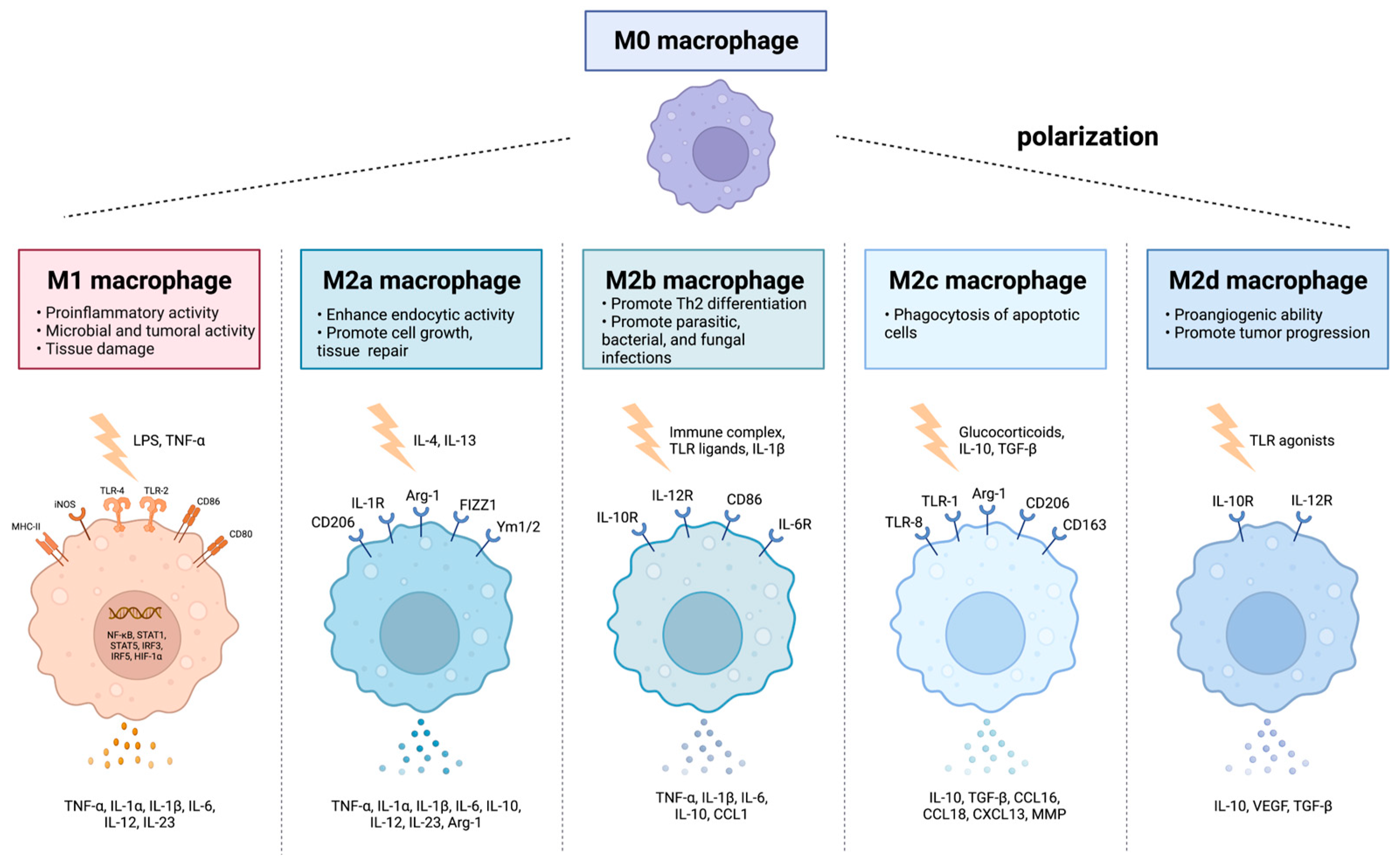 Nanomaterials 13 00692 g003