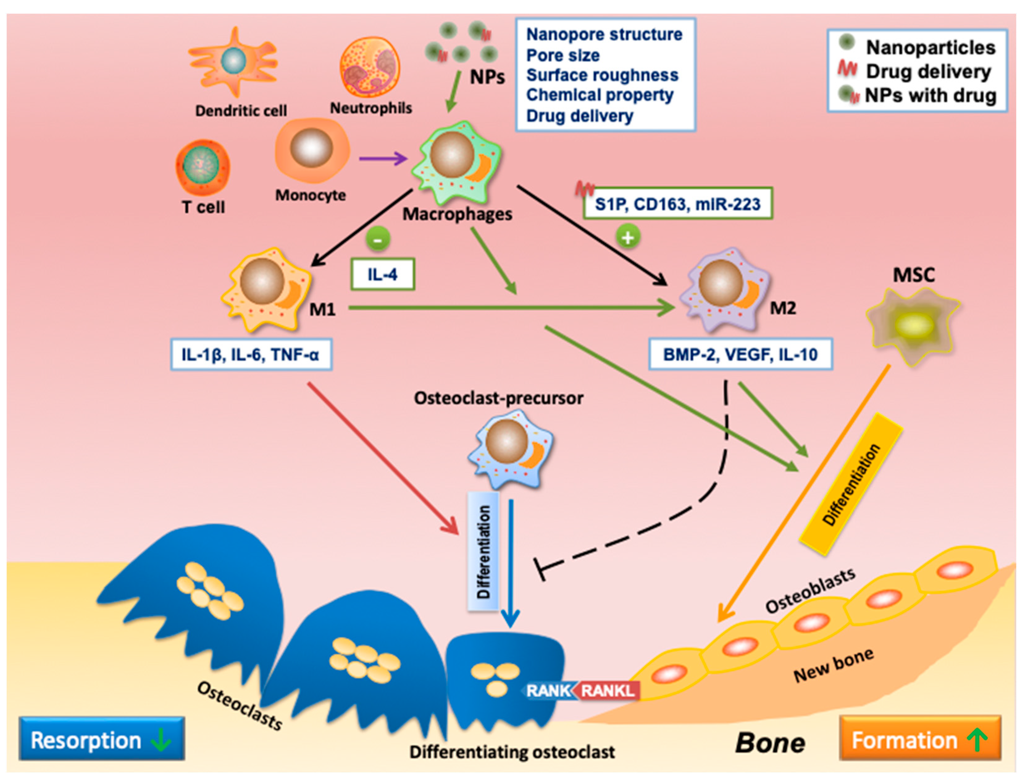 Nanomaterials 13 00692 g006