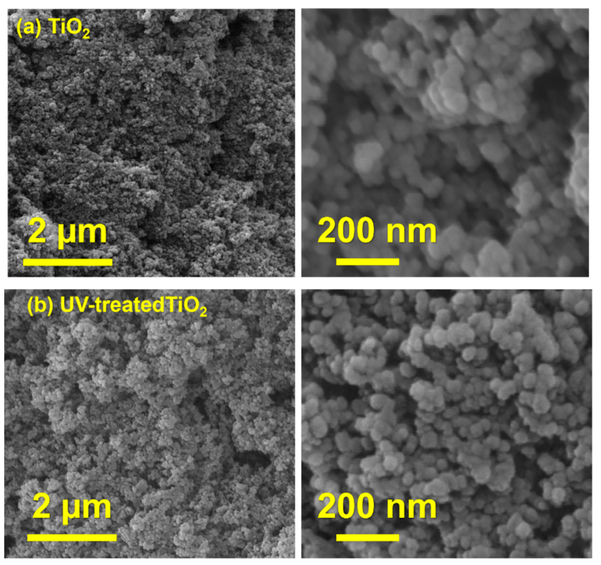 Nanomaterials 13 00703 g006