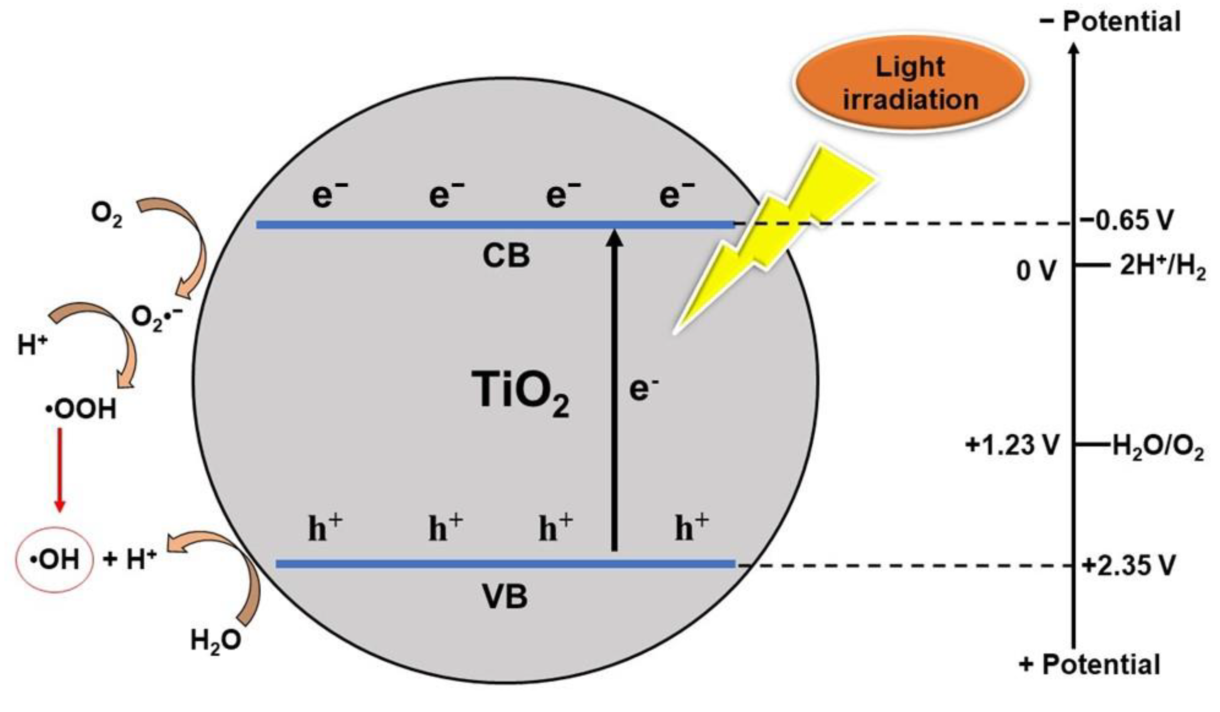 Nanomaterials 13 00704 g001