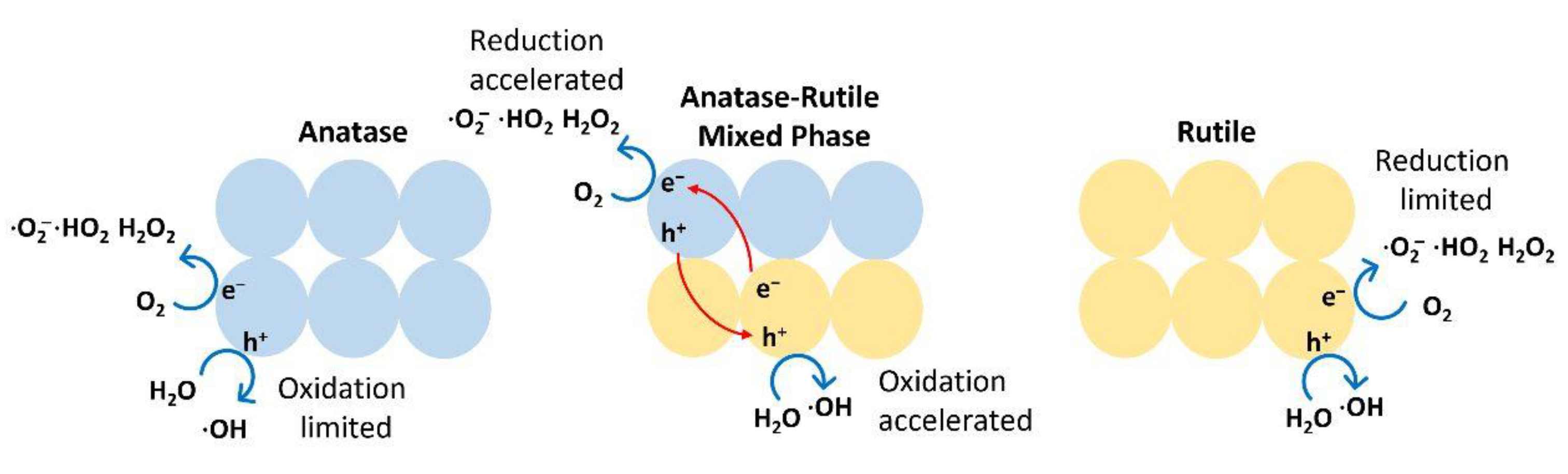 Nanomaterials 13 00704 g006