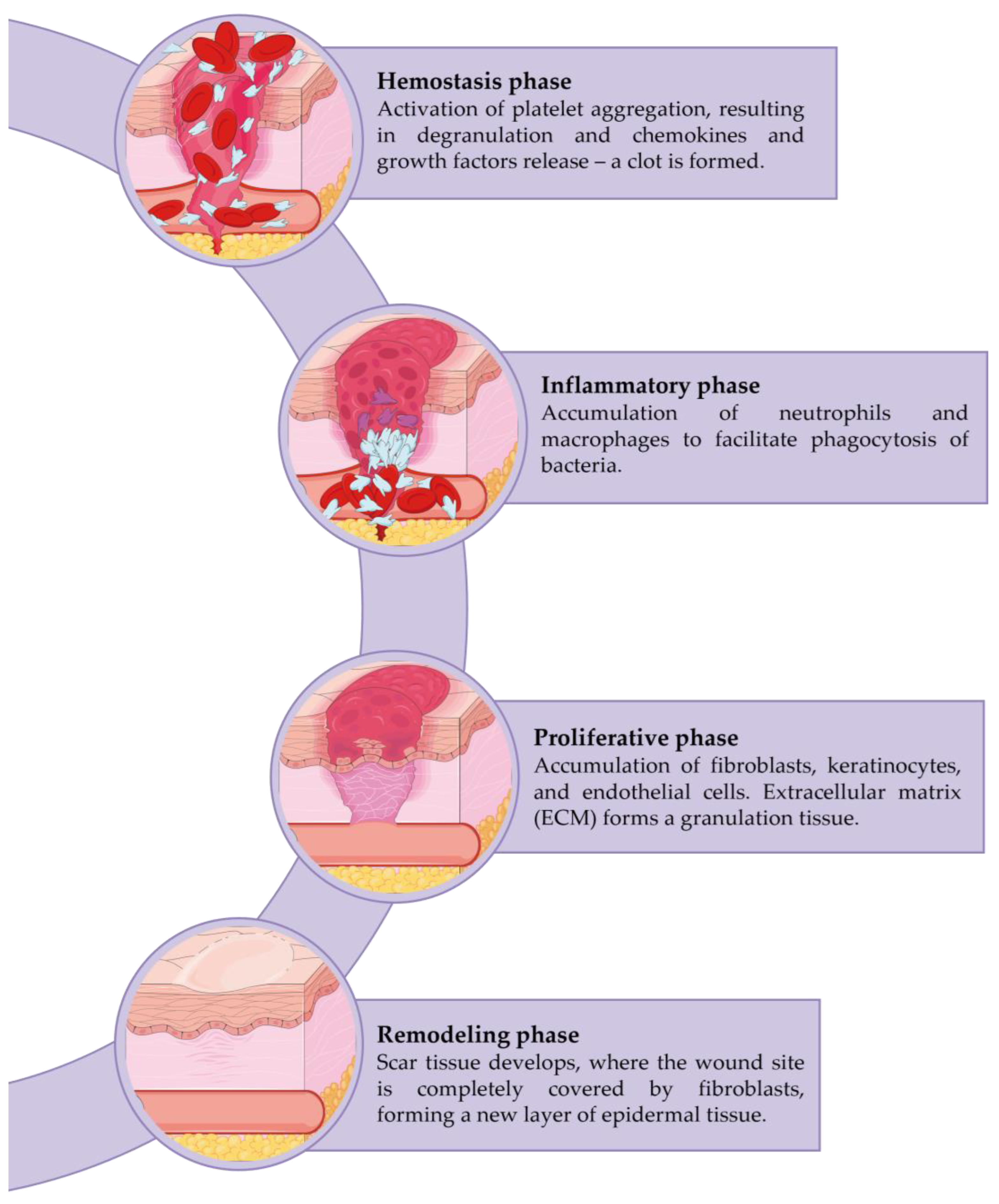 Nanomaterials 13 00706 g001