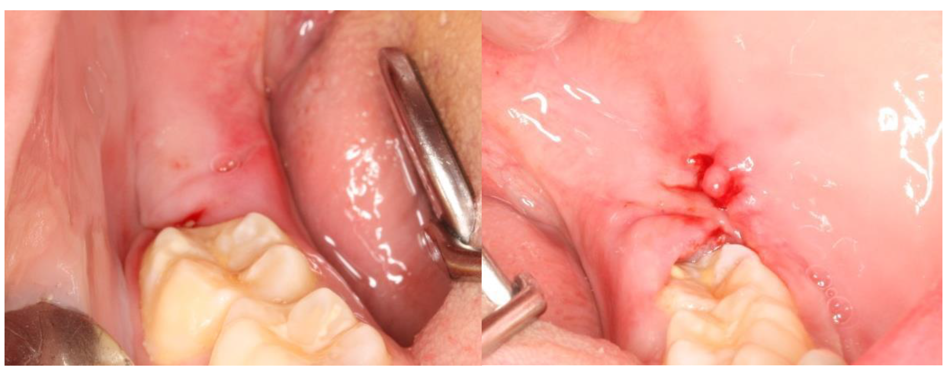 Nanomaterials 13 00706 g007