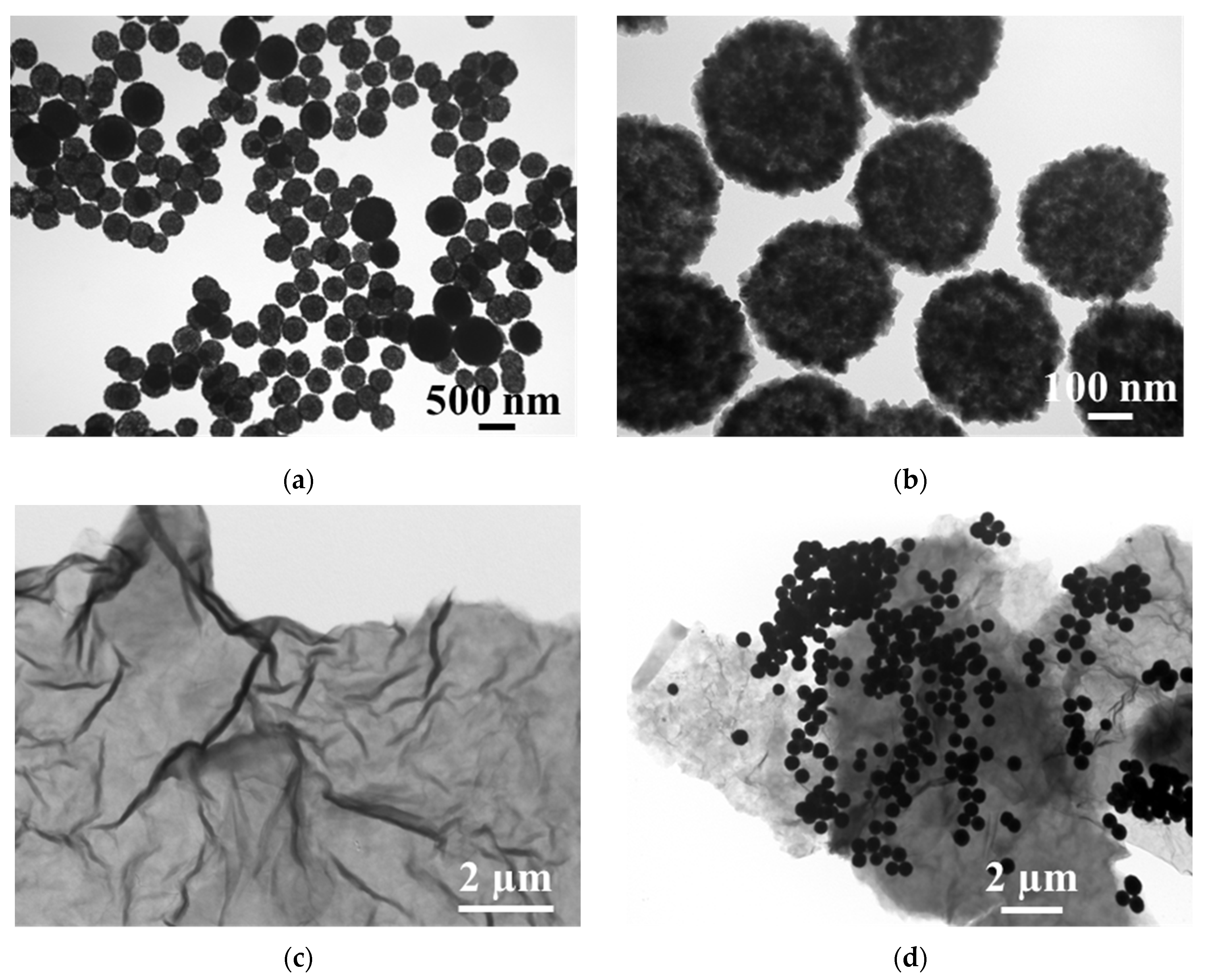 Nanomaterials 13 00707 g001