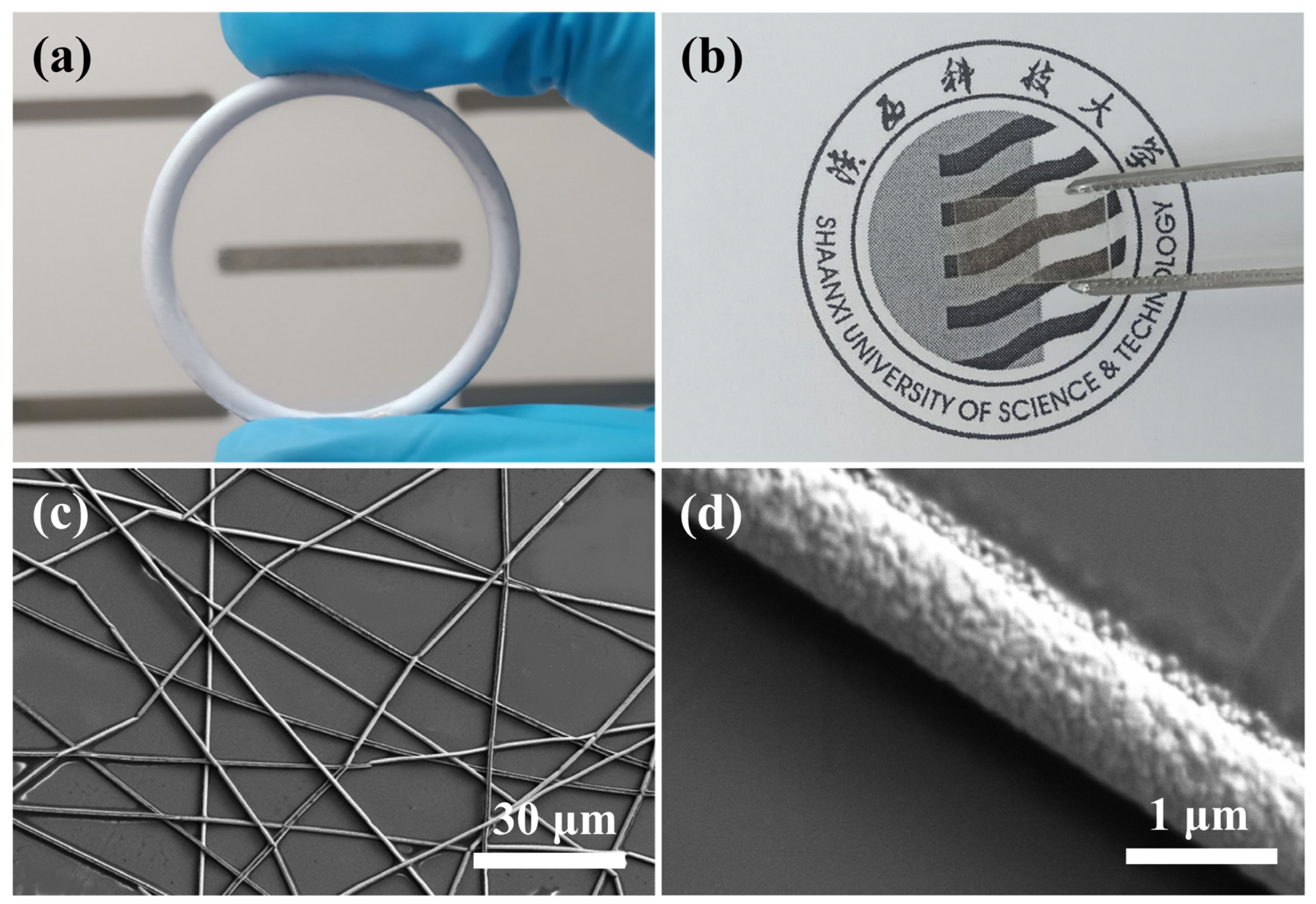 Nanomaterials 13 00708 g002