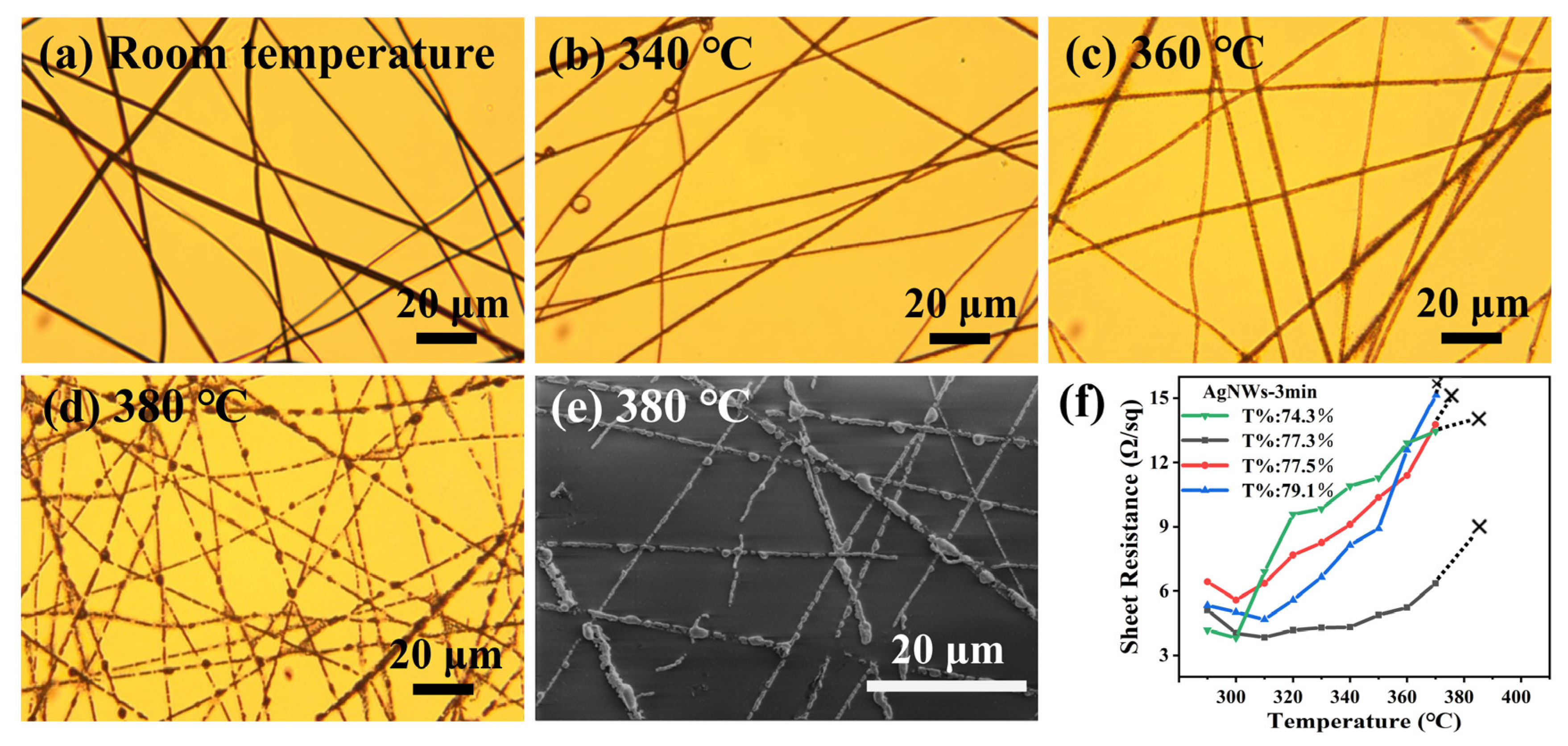 Nanomaterials 13 00708 g004