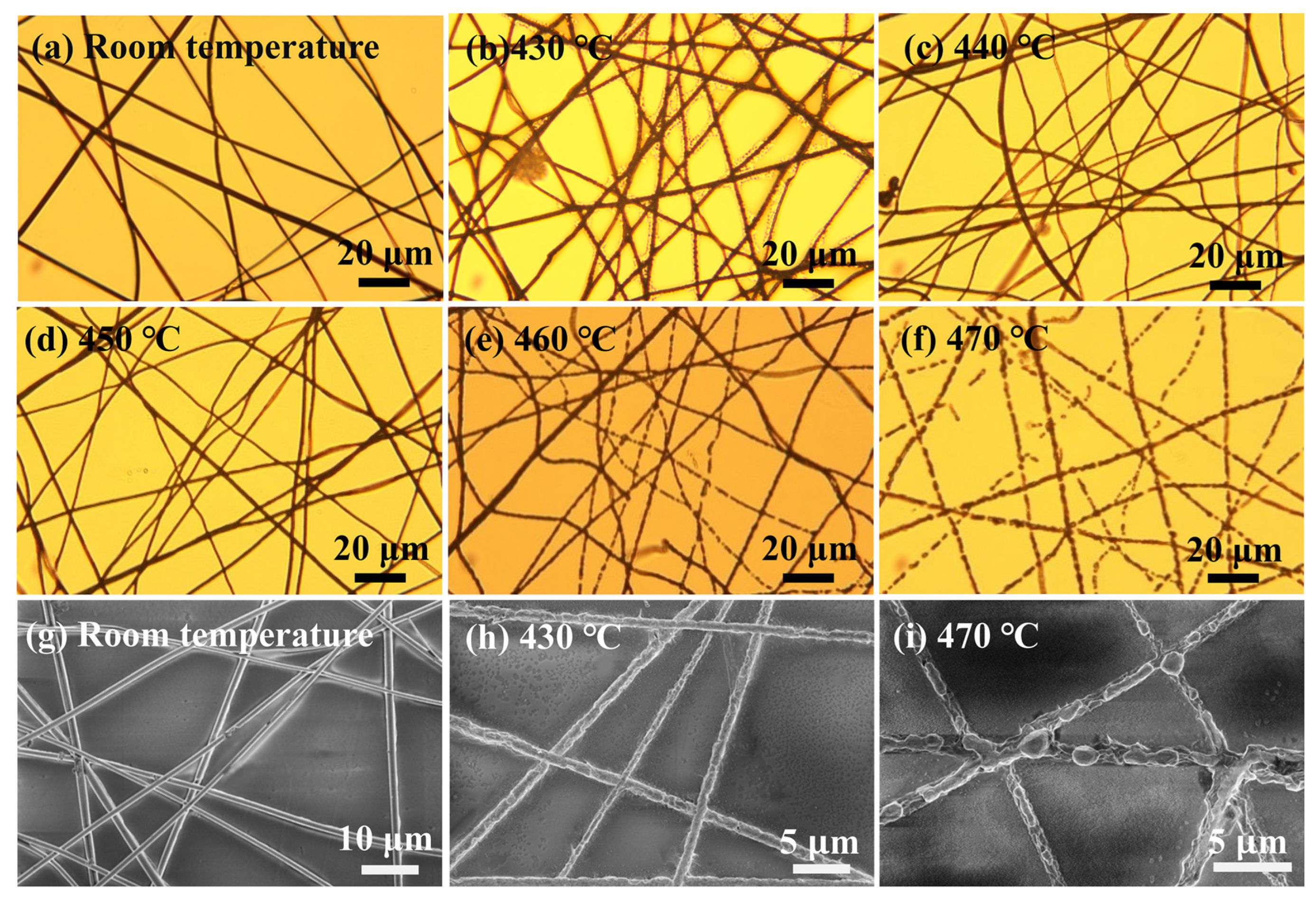 Nanomaterials 13 00708 g006