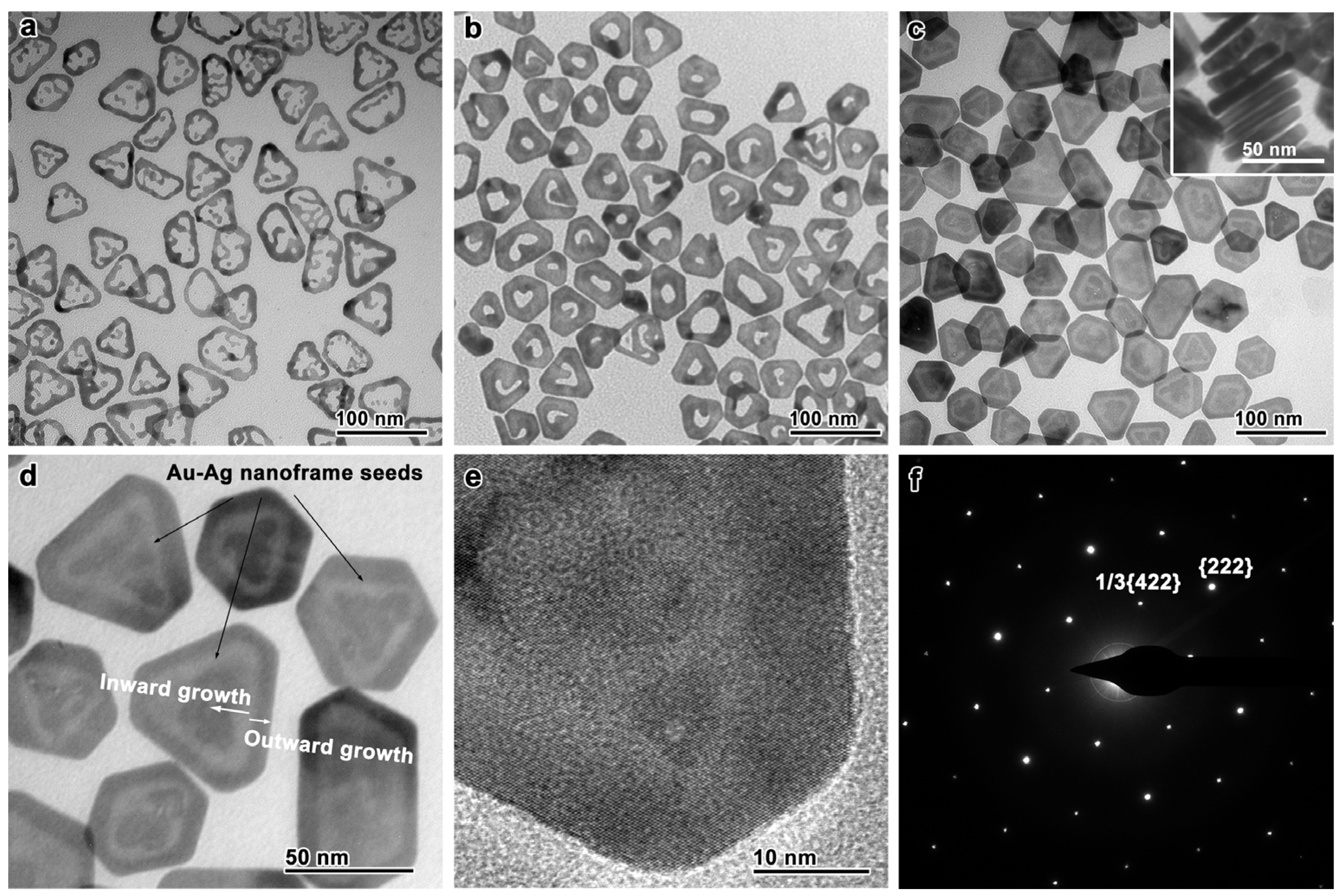Nanomaterials 13 00711 g001