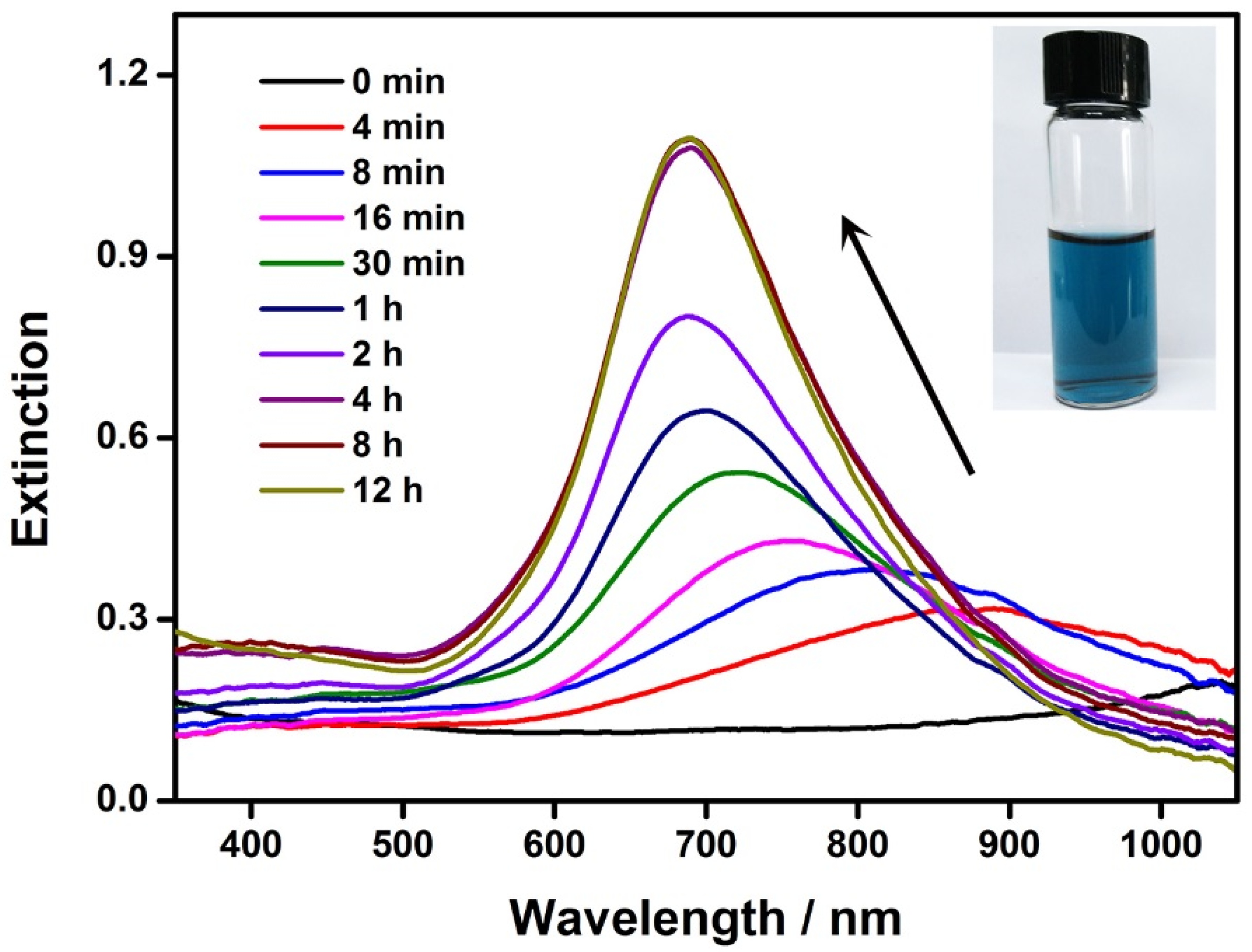 Nanomaterials 13 00711 g002